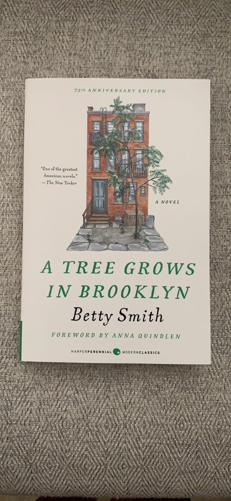 A Tree Grows in Brooklyn [75th Anniversary Ed]: A Special Edition of the Beloved American Classic Coming-Of-Age Novel (Perennial Classics) customer photo 2