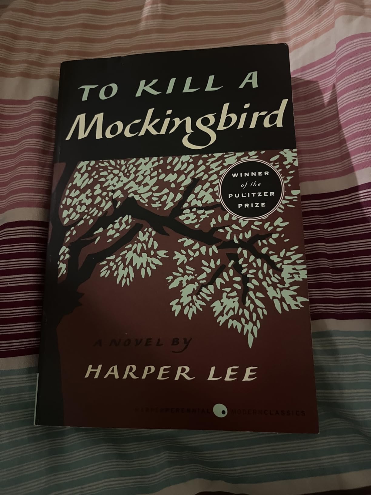 To Kill a Mockingbird customer photo 1