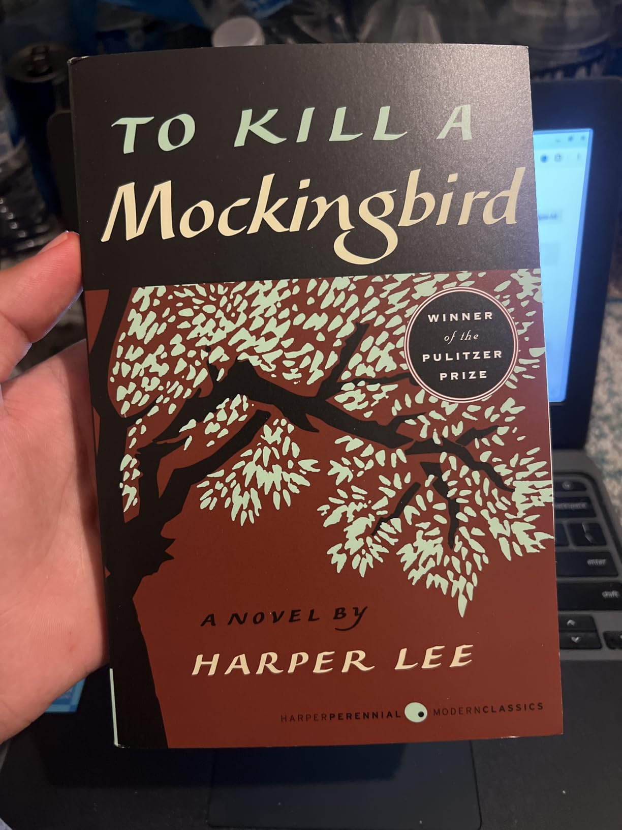 To Kill a Mockingbird customer photo 2
