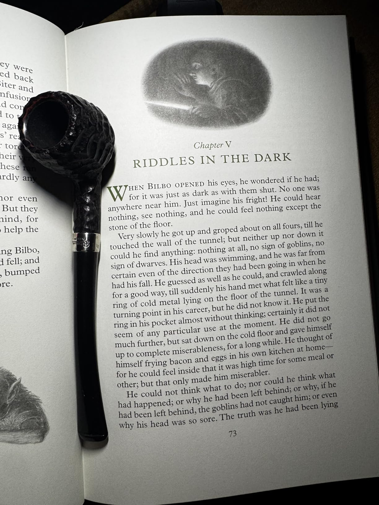 The Hobbit & The Lord of the Rings Illustrated by Alan Lee Box Set: Illustrated by Alan Lee customer photo 1