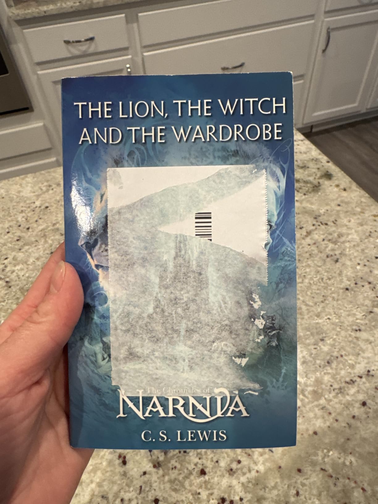 The Lion, the Witch and the Wardrobe Deluxe Collector’s Edition: The Epic Classic Fantasy Now Available in a Special Edition with Snowy Printed Edges (The Chronicles of Narnia, 2) customer photo 2