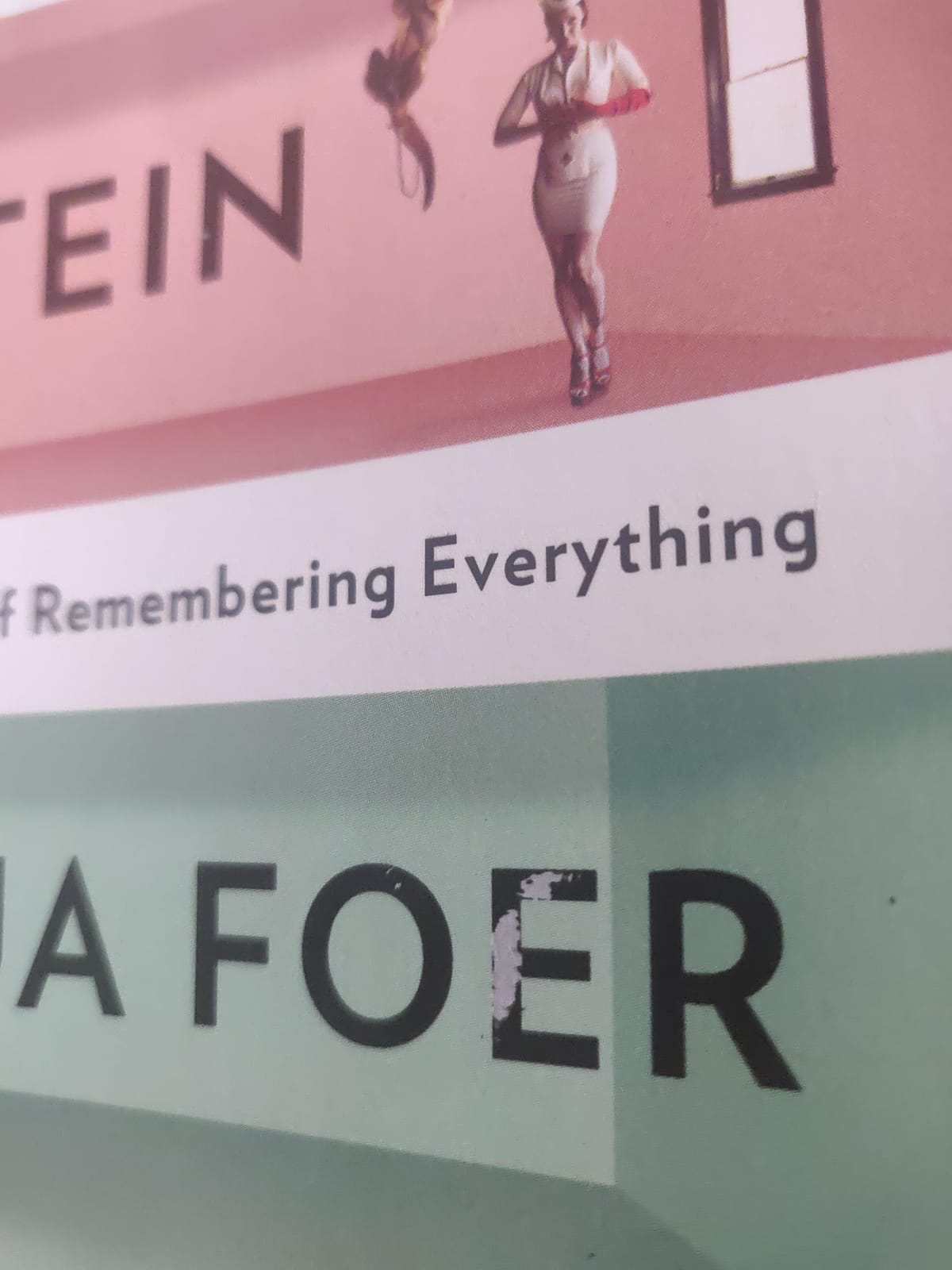 Moonwalking with Einstein: The Art and Science of Remembering Everything customer photo 1