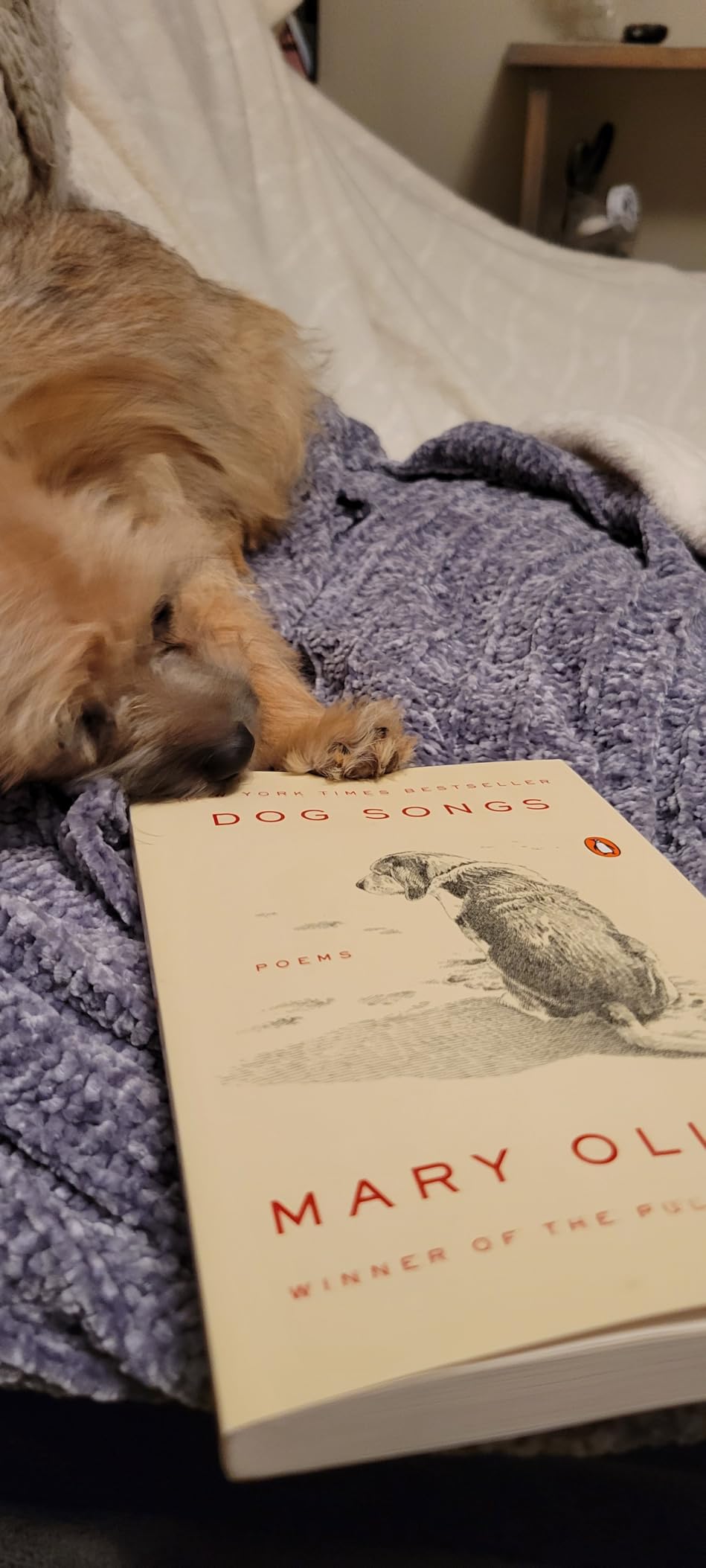 Dog Songs: Poems customer photo 2