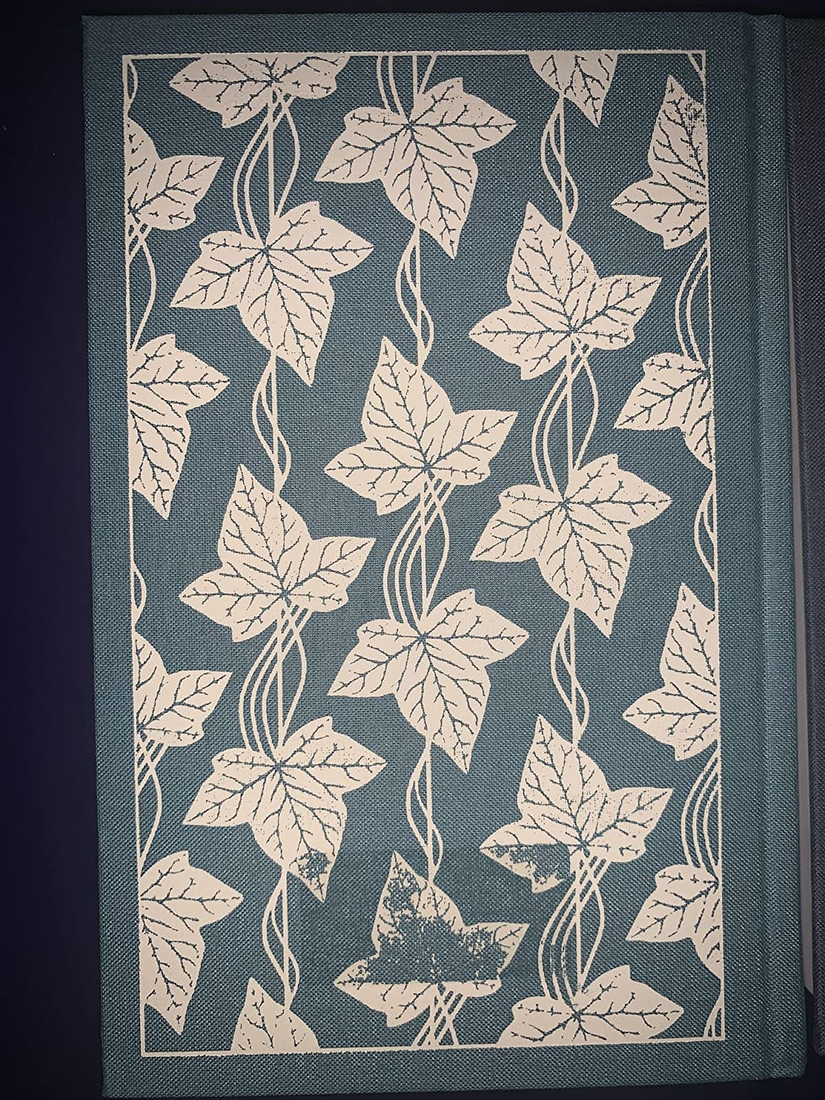 The Brontë Sisters Boxed Set: Jane Eyre; Wuthering Heights; The Tenant of Wildfell Hall; Villette (Penguin Clothbound Classics) customer photo 2