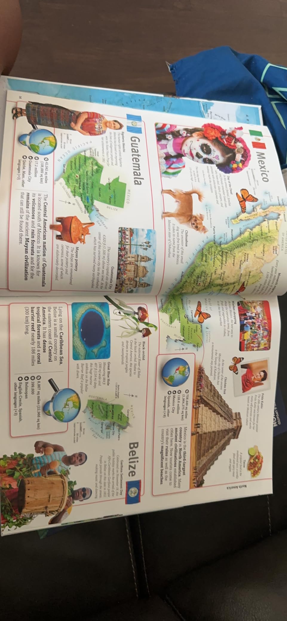 Our World in Pictures: Countries, Cultures, People & Places: A Visual Encyclopedia of the World customer photo 2