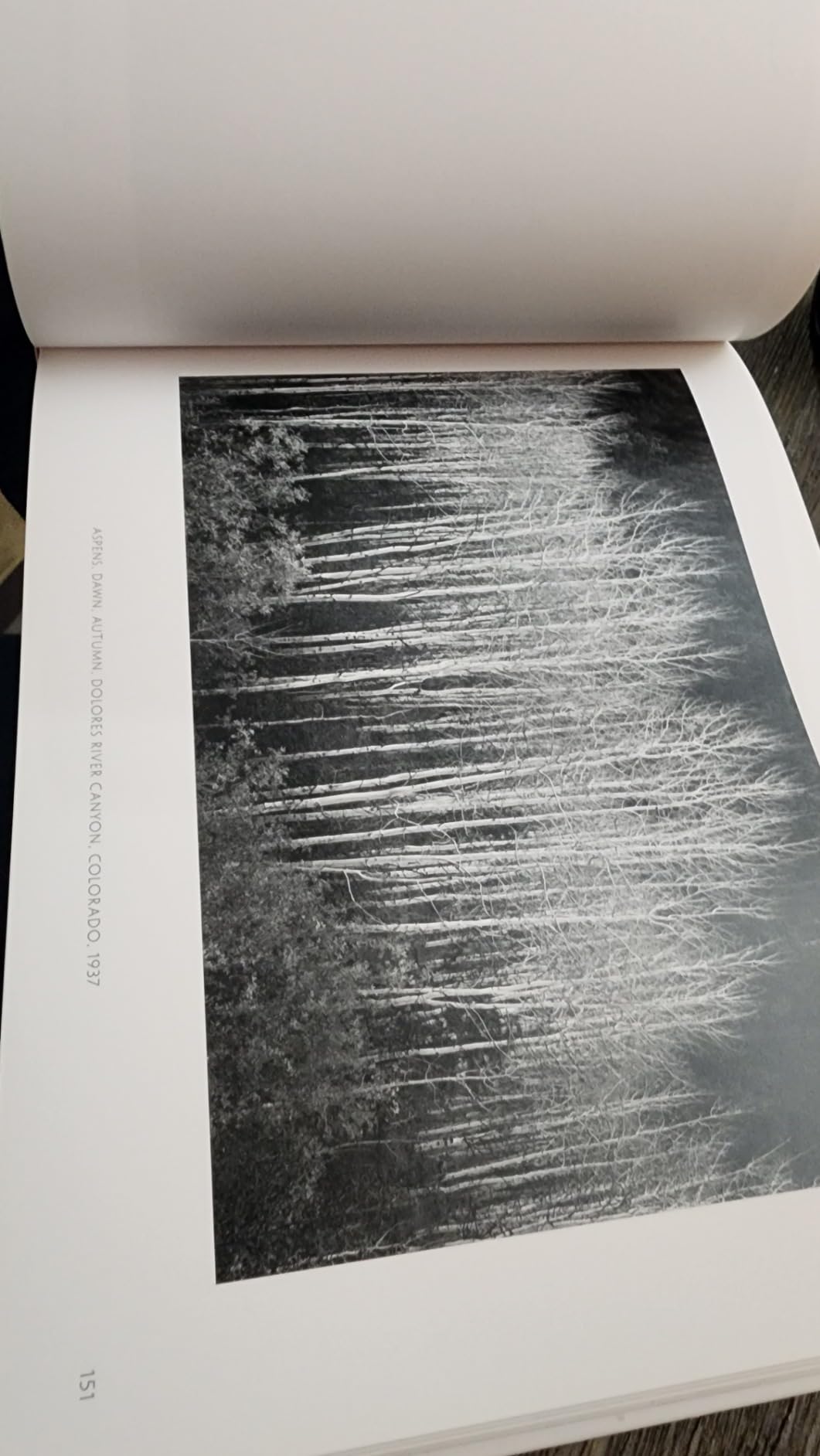Ansel Adams: 400 Photographs customer photo 2