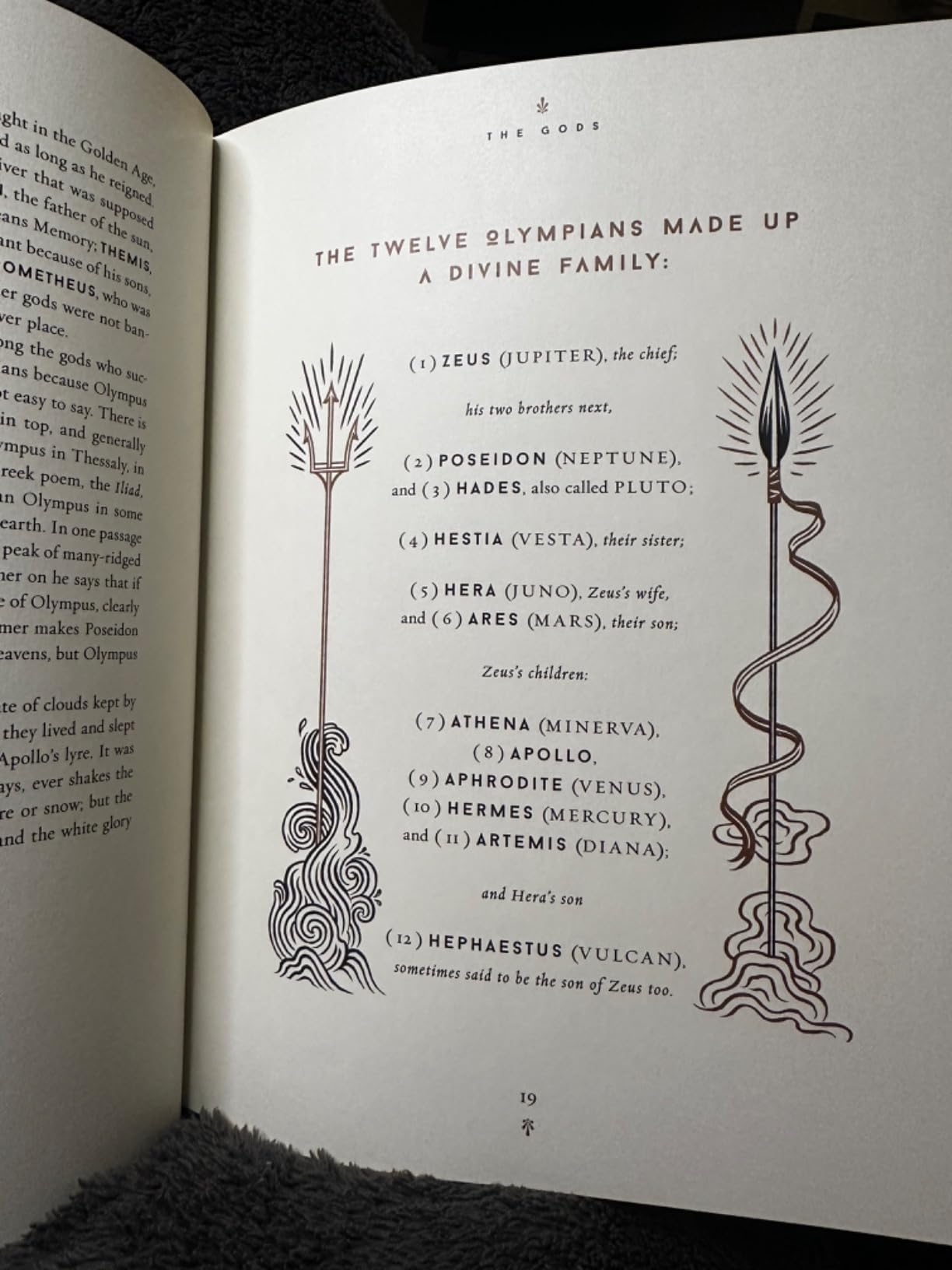 Mythology (75th Anniversary Illustrated Edition): Timeless Tales of Gods and Heroes customer photo 1