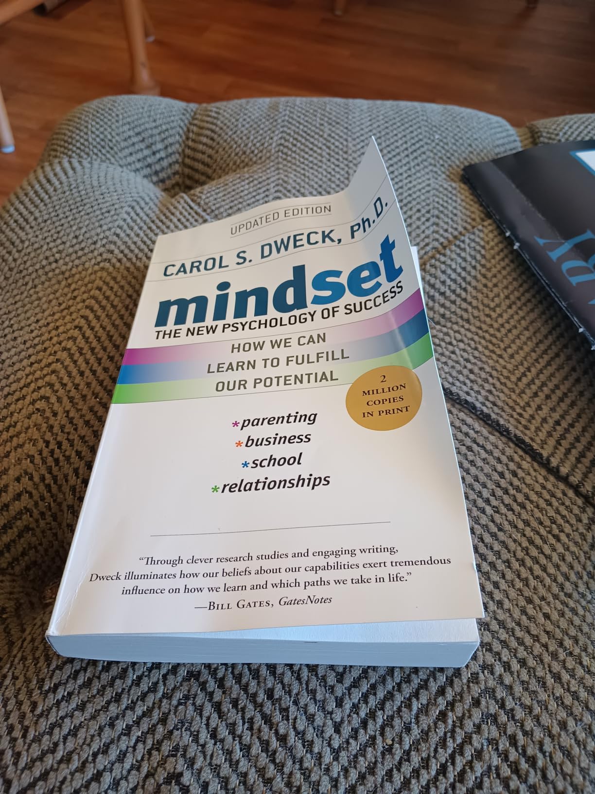 Mindset: The New Psychology of Success customer photo 2