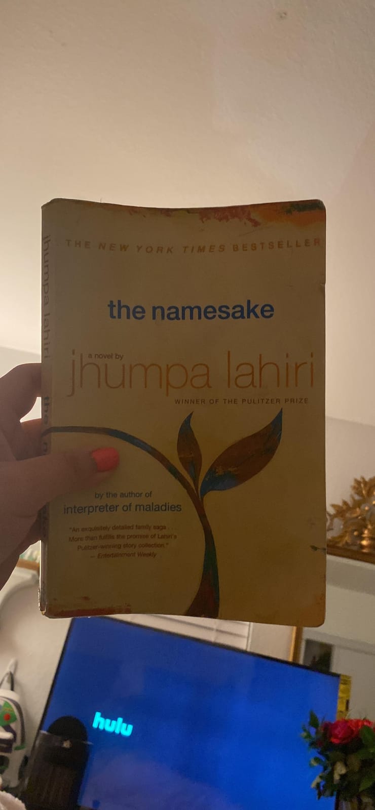 The Namesake: An NYT Bestselling Classic Novel About the Search for Belonging customer photo 1