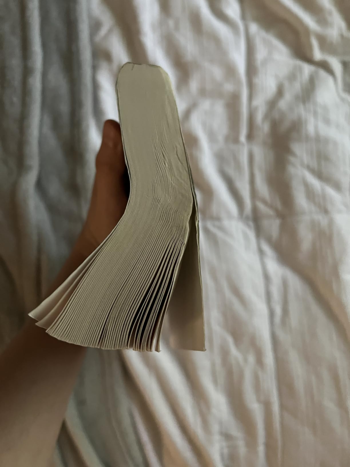 Norwegian Wood customer photo 1