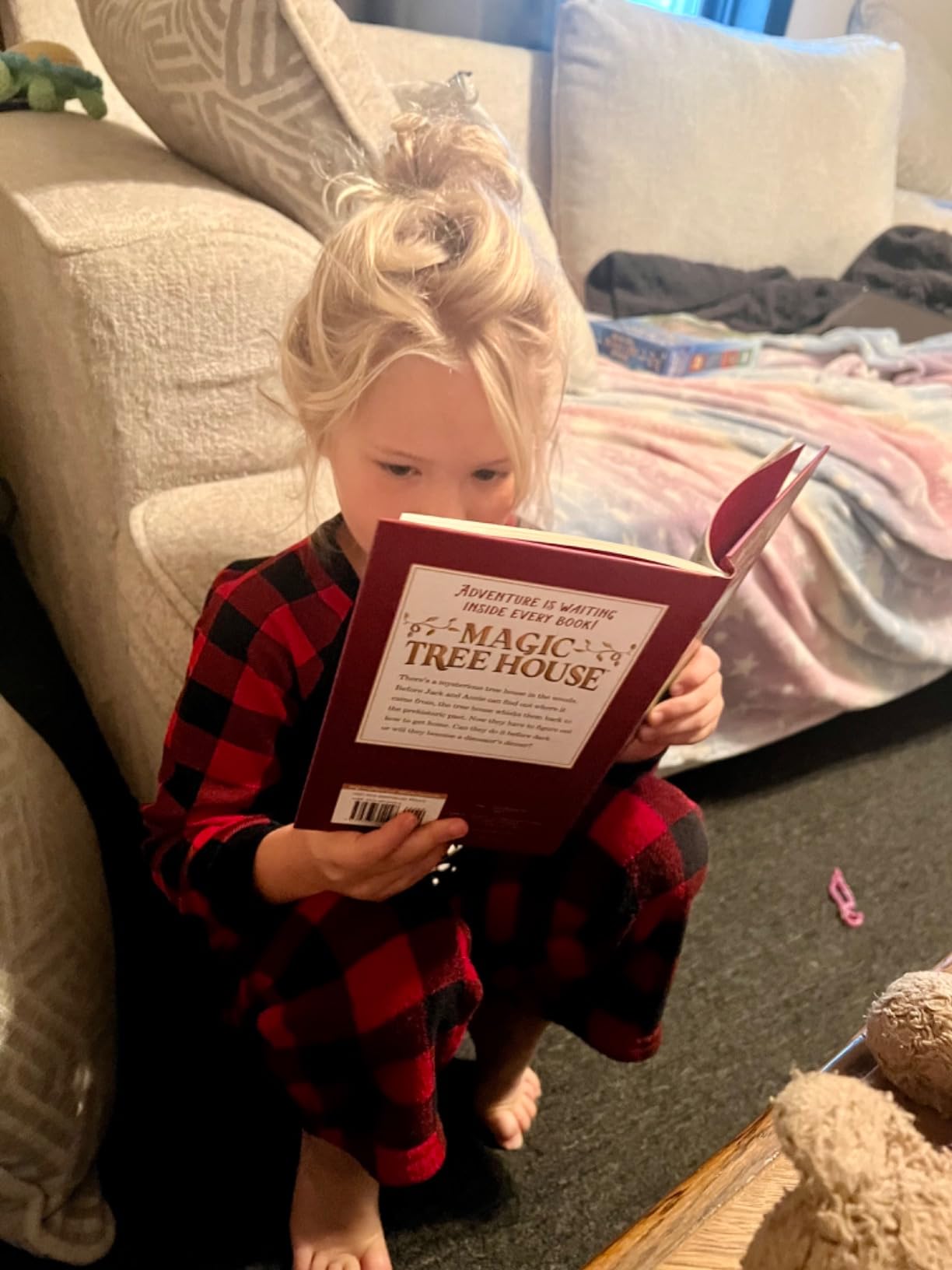 Magic Tree House Boxed Set, Books 1-4: Dinosaurs Before Dark, The Knight at Dawn, Mummies in the Morning, and Pirates Past Noon customer photo 1