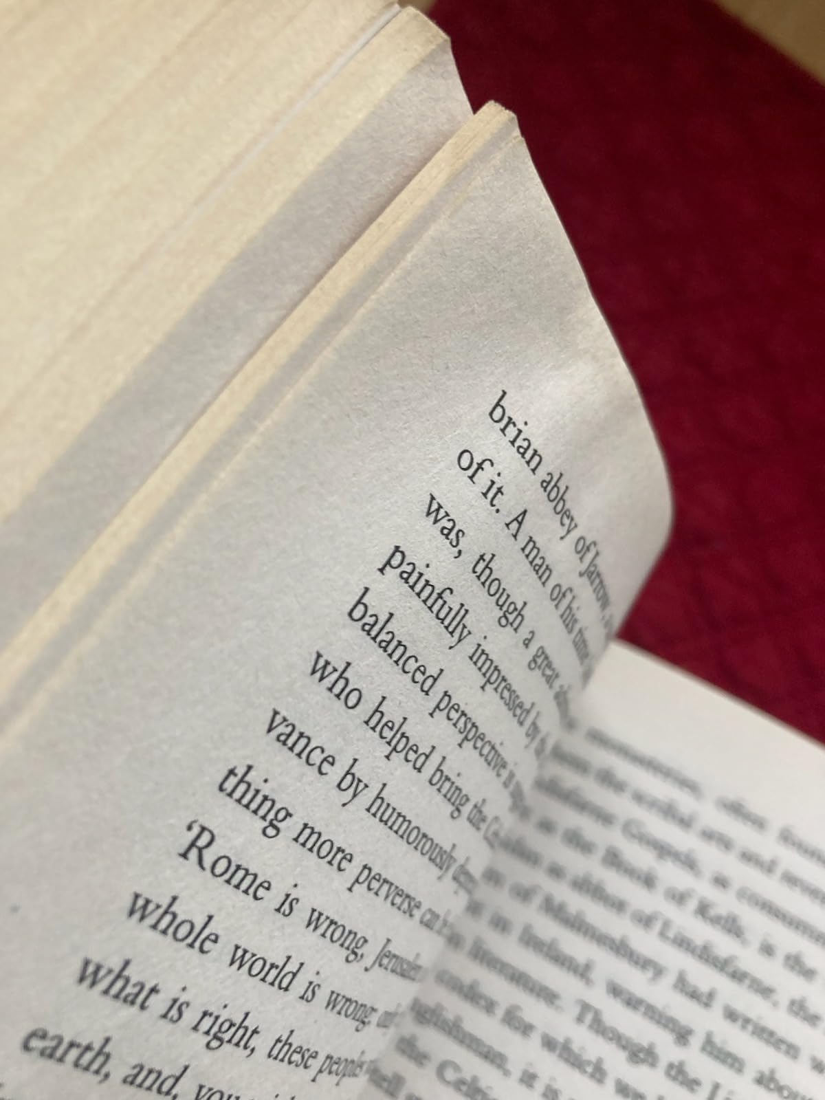 How the Irish Saved Civilization: The Untold Story of Ireland's Heroic Role From the Fall of Rome to the Rise of Medieval Europe (The Hinges of History) customer photo 1