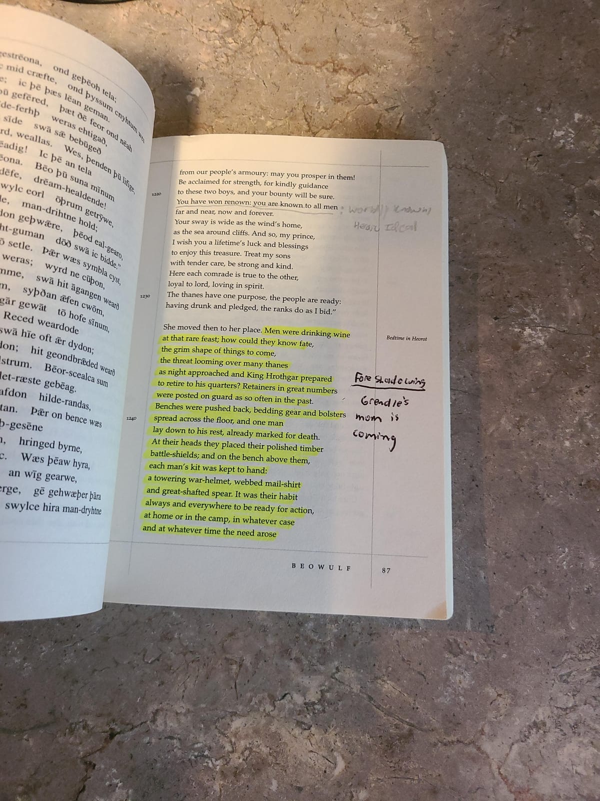 Beowulf: A New Verse Translation (Bilingual Edition) customer photo 2