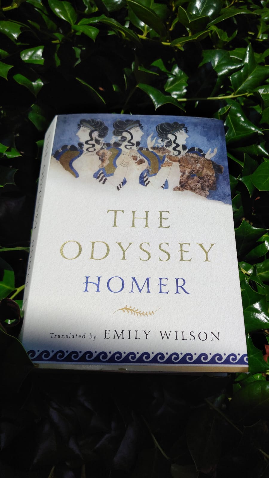 The Odyssey customer photo 2