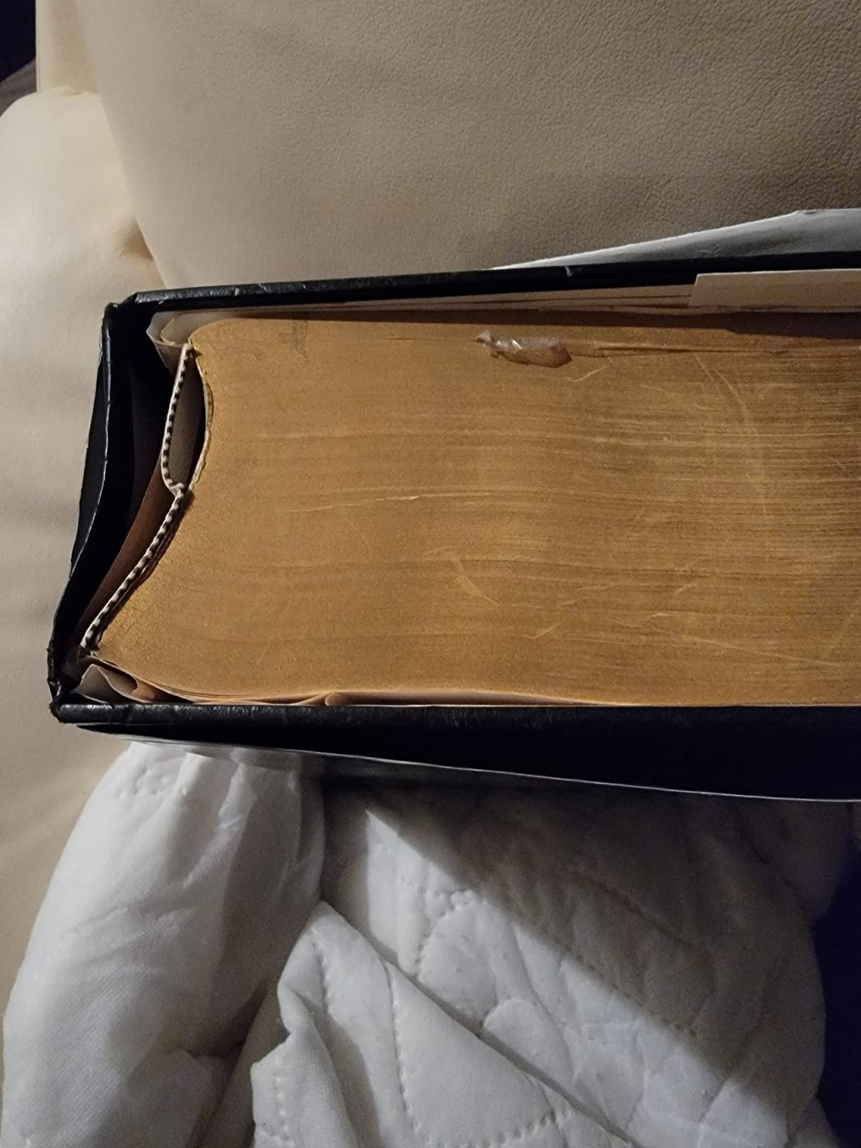 Webster's Encyclopedic Unabridged Dictionary, Second Edition customer photo 1