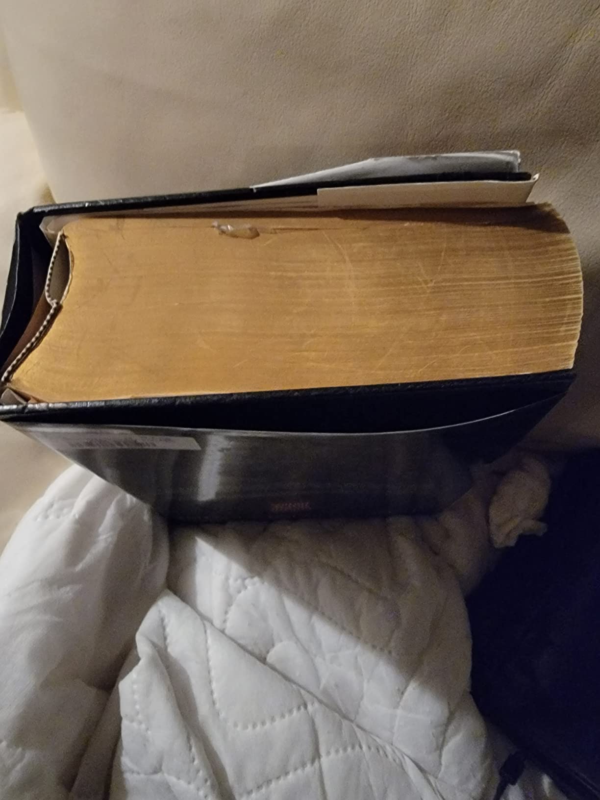Webster's Encyclopedic Unabridged Dictionary, Second Edition customer photo 2
