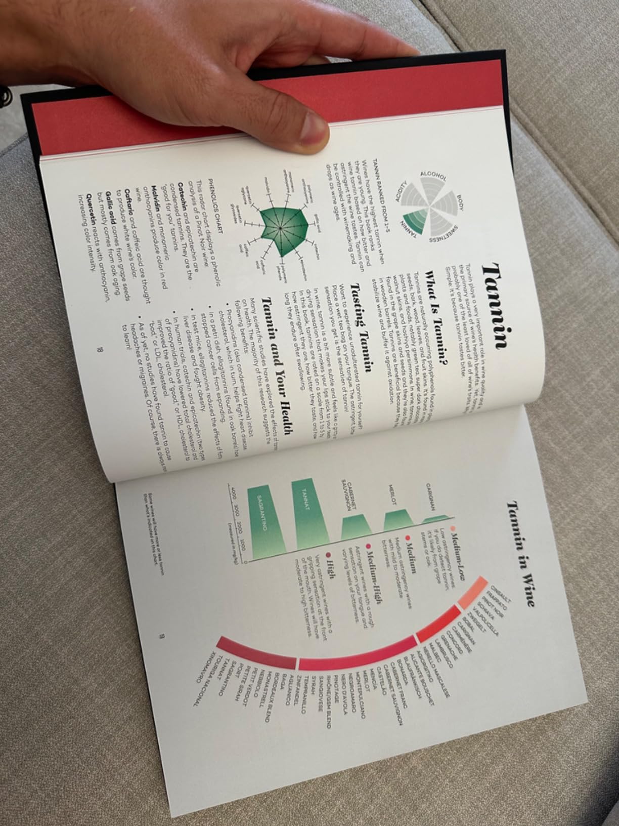 Wine Folly: Magnum Edition: The Master Guide customer photo 1