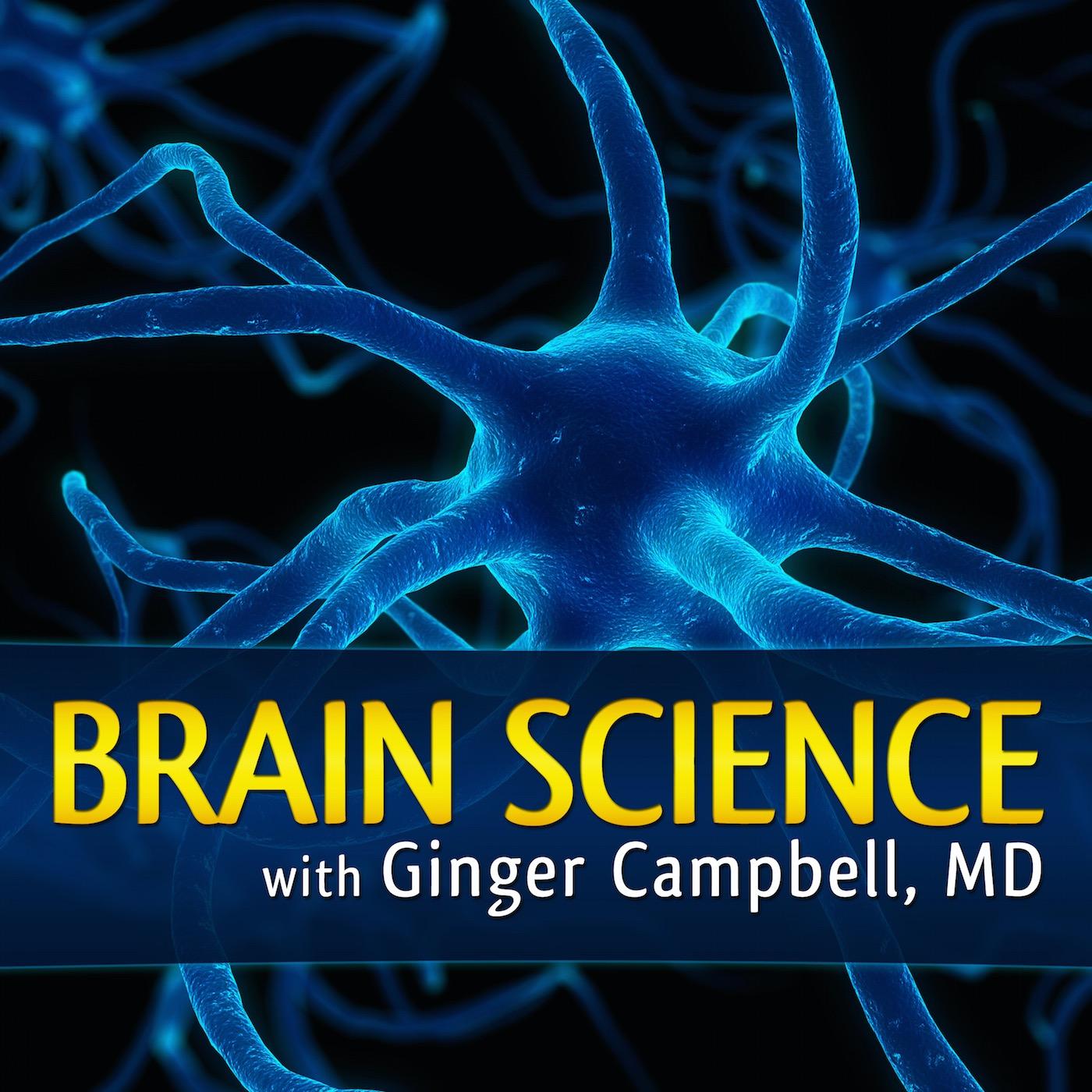 How We Learn: Why Brains Learn Better Than Any Machine . . . for Now customer photo 2