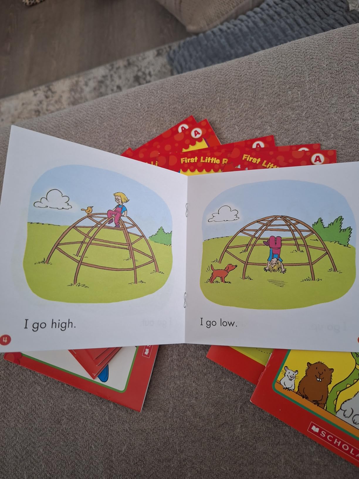 First Little Readers Parent Pack: Guided Reading Level A: 25 Irresistible Books That Are Just the Right Level for Beginning Readers customer photo 2