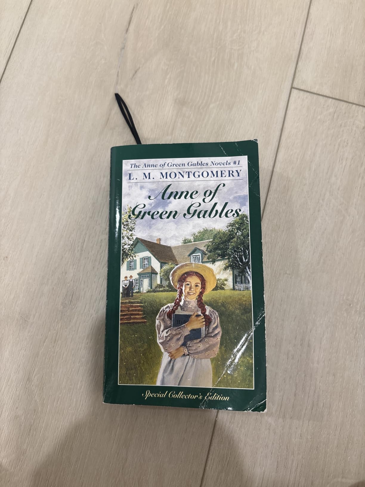 Anne of Green Gables customer photo 1