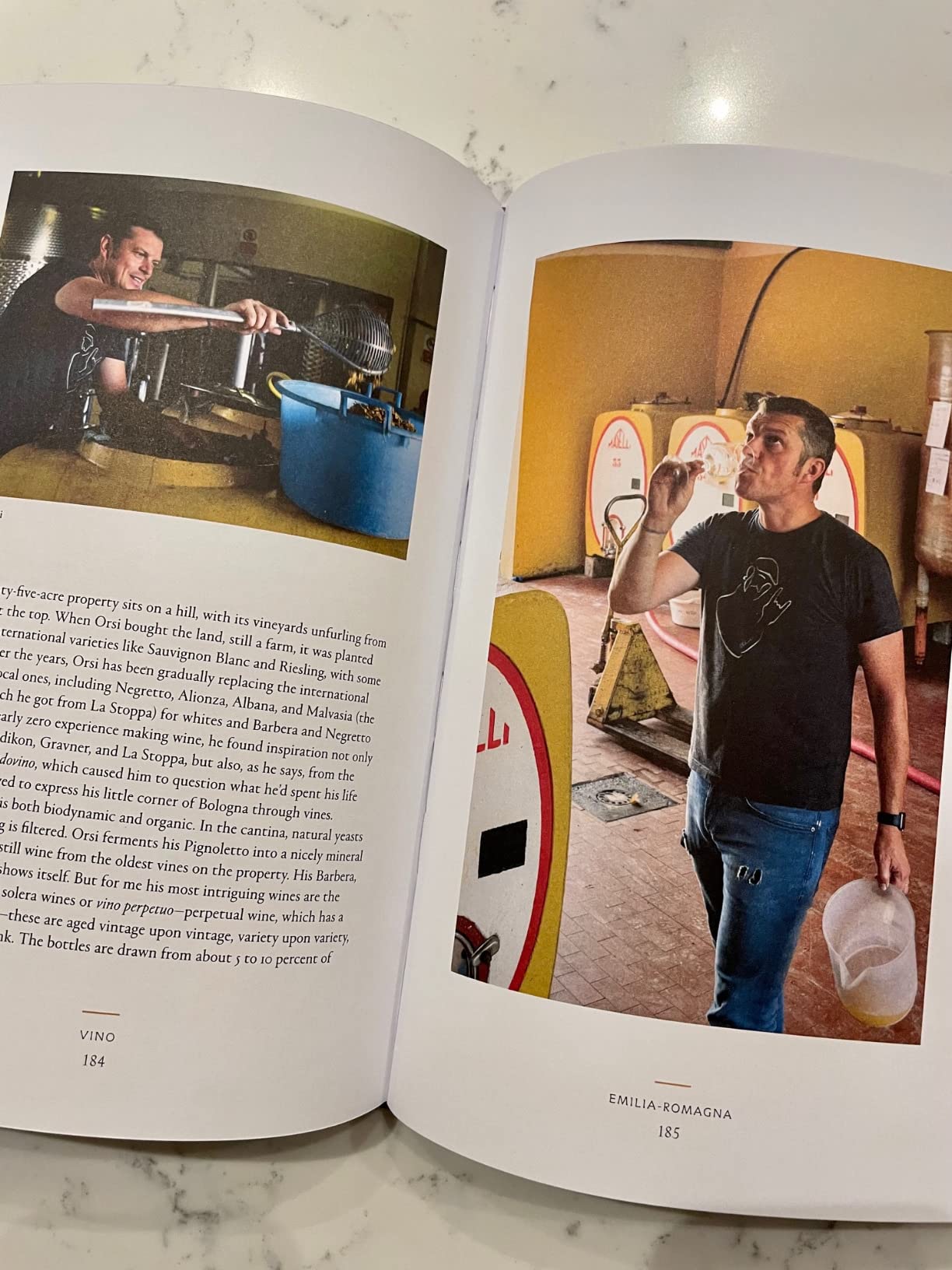 Vino: The Essential Guide to Real Italian Wine customer photo 2