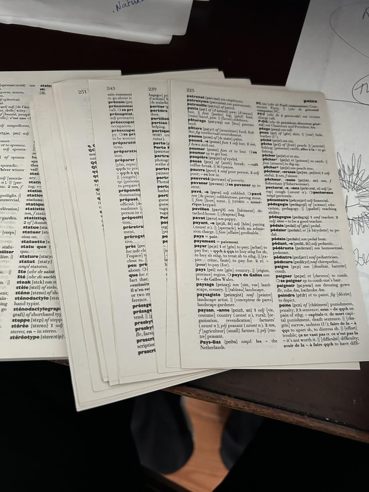 Larousse French English Dictionary customer photo 1