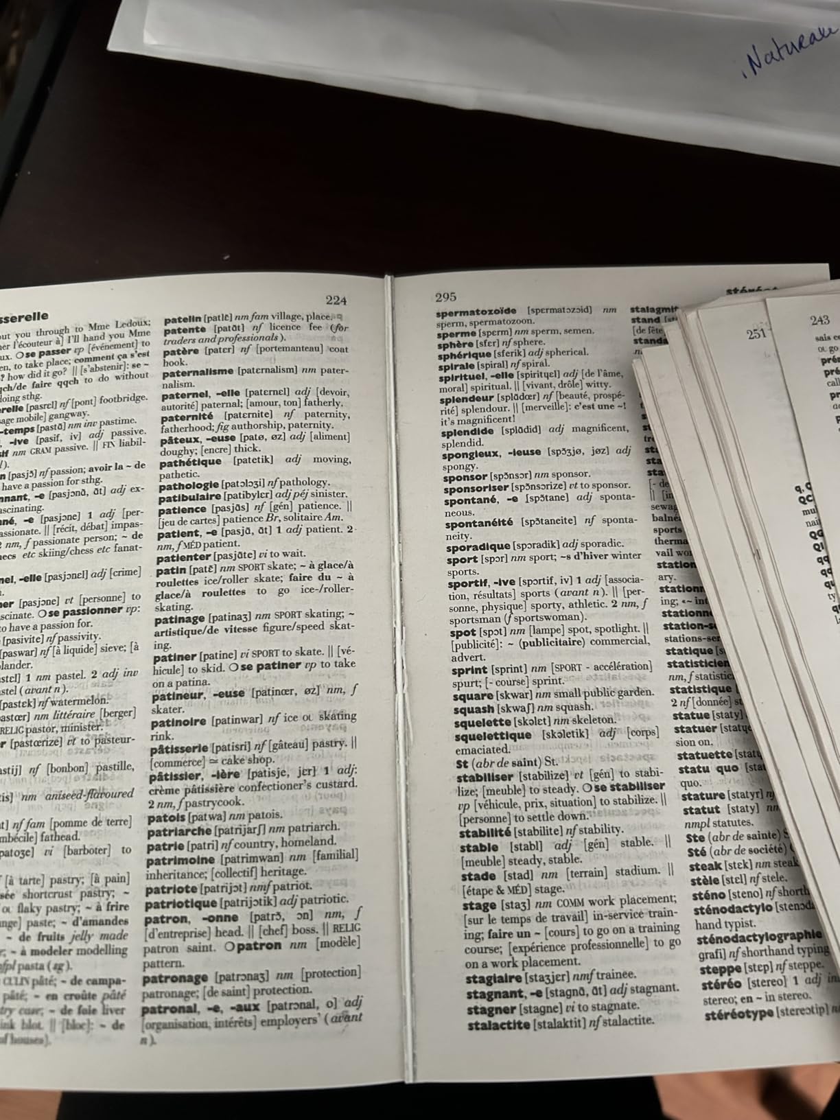 Larousse French English Dictionary customer photo 2