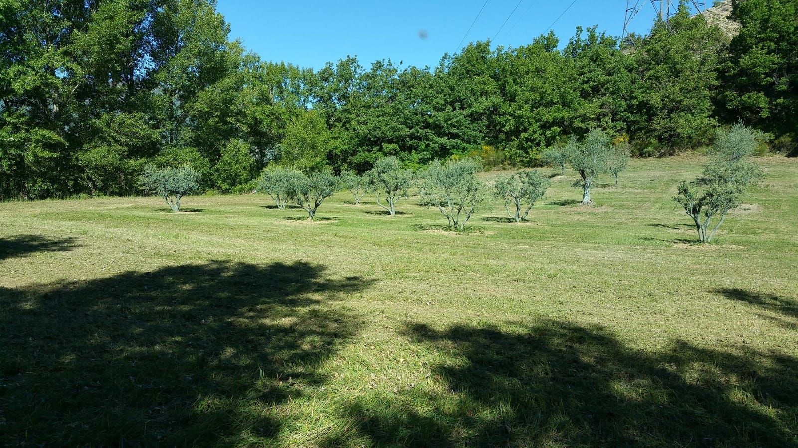 A Year in Provence (Vintage Departures) customer photo 1