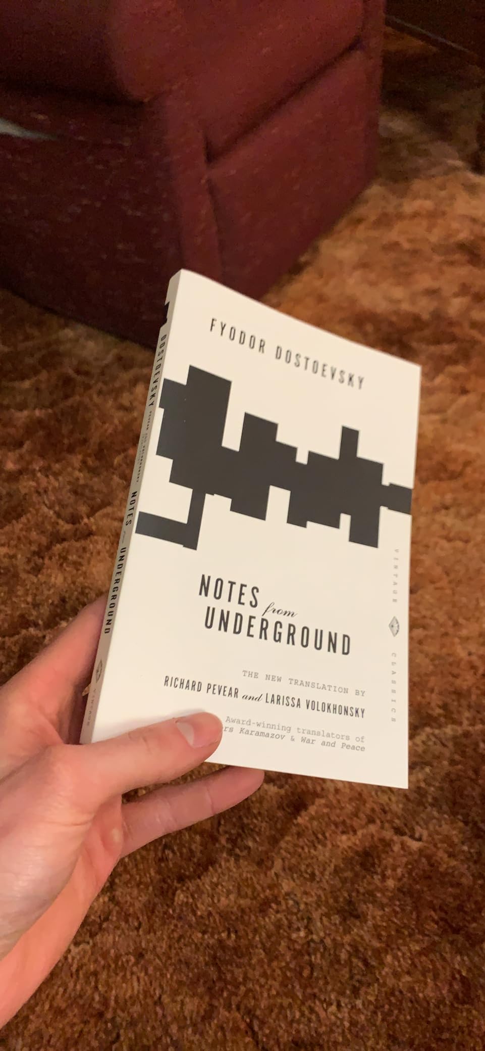 Notes from Underground (Vintage Classics) customer photo 2
