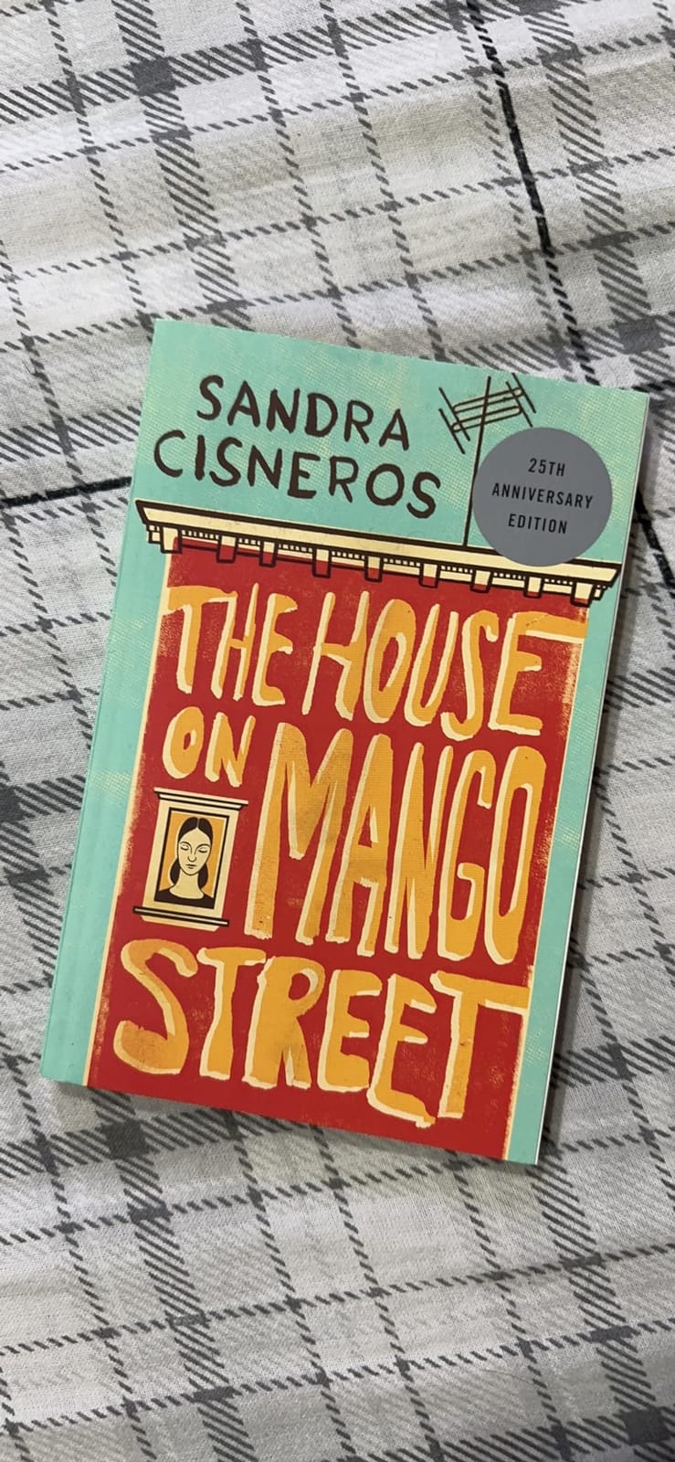 The House on Mango Street (Vintage Contemporaries) customer photo 2