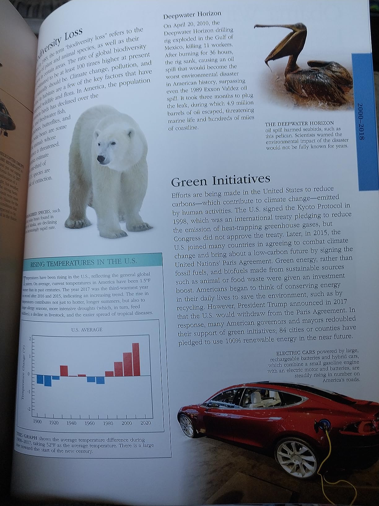 American History: A Visual Encyclopedia of United States History (DK Children's Visual Encyclopedias) customer photo 2