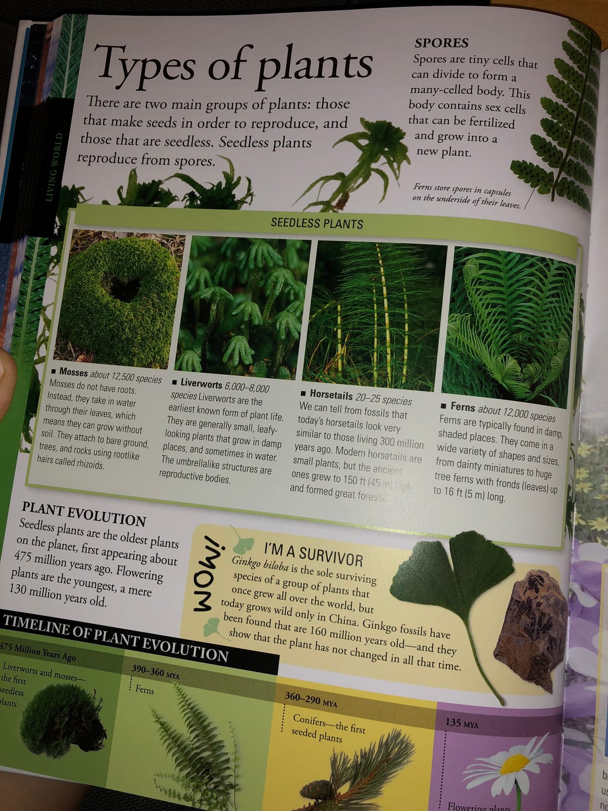 The New Children's Encyclopedia: Packed with thousands of facts, stats, and illustrations (DK Children's Visual Encyclopedias) customer photo 2