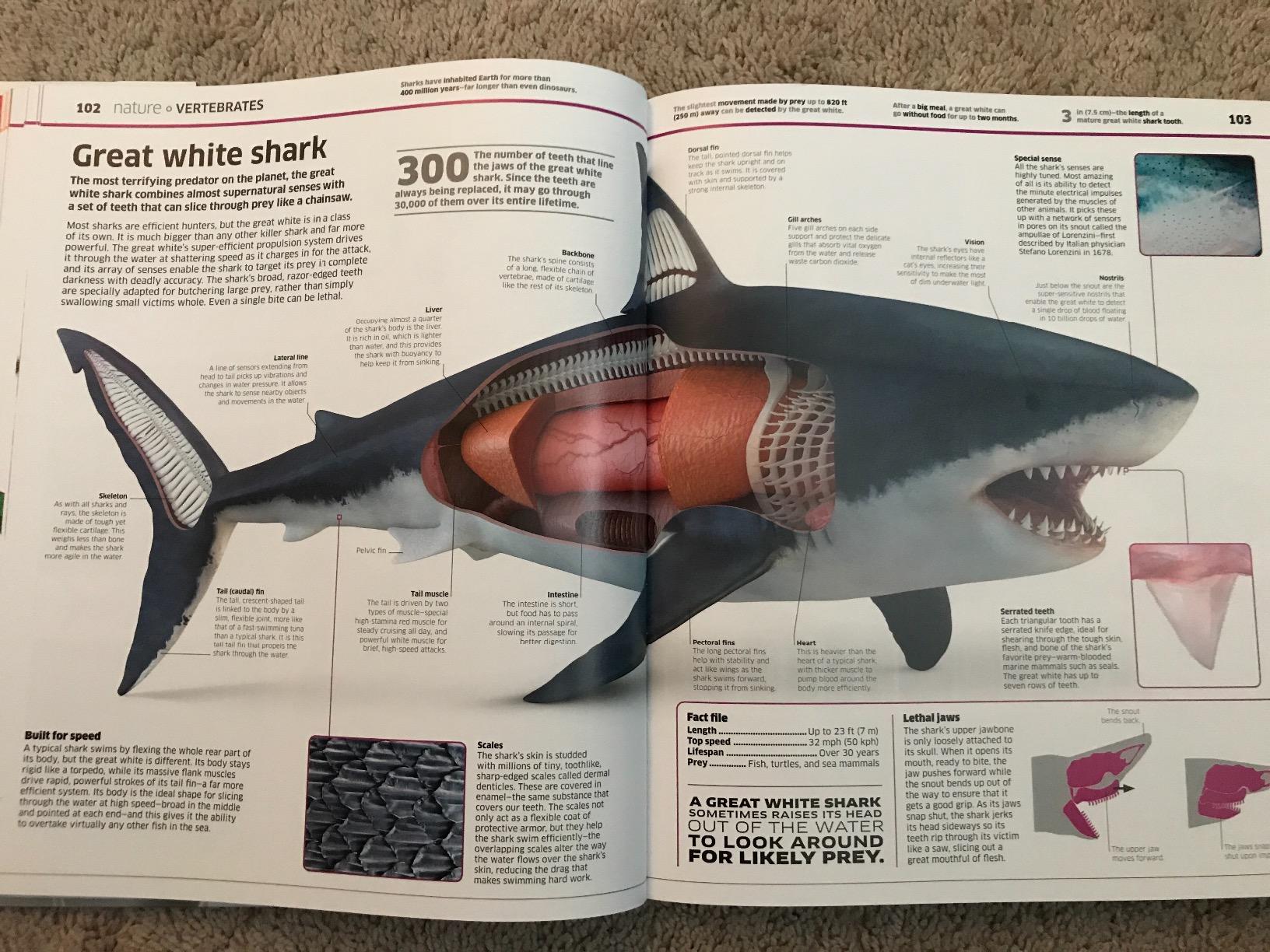 Knowledge Encyclopedia!: The World as You've Never Seen it Before customer photo 2