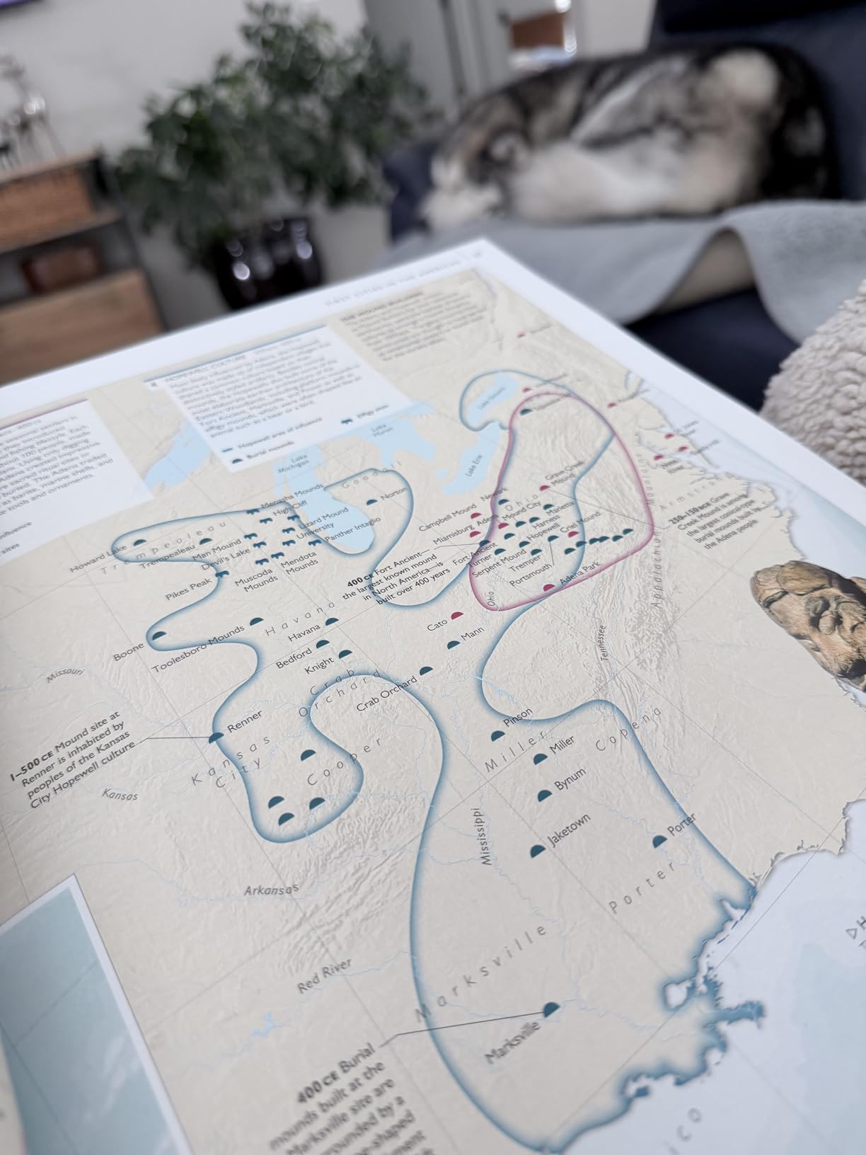 History of the World Map by Map (DK History Map by Map) customer photo 1