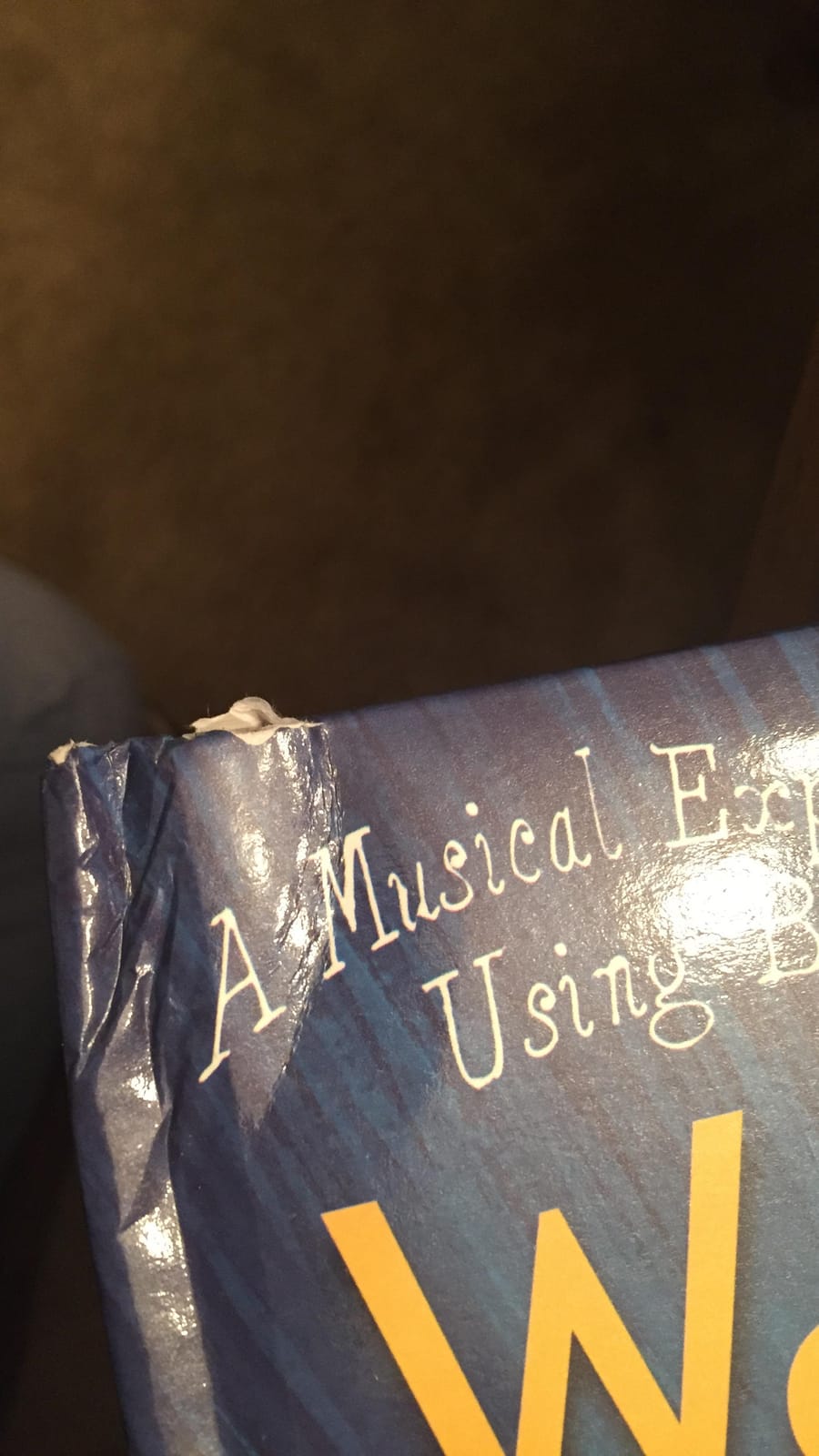 Welcome to the Symphony: A Musical Exploration of the Orchestra Using Beethoven's Symphony No. 5 (Welcome to Music! Sound Button Books) customer photo 1