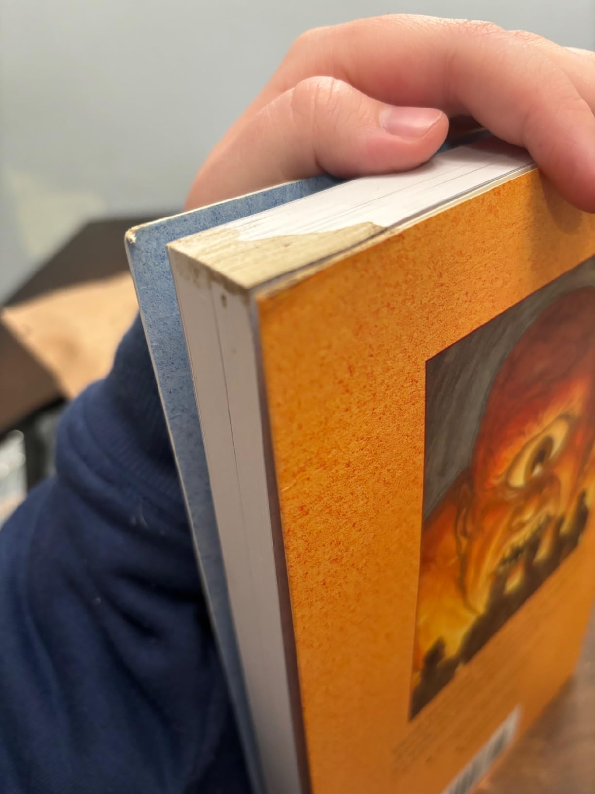 The Odyssey: A Graphic Novel: (A Modern Visual Adaptation of Homer's Epic Tale of Greek Mythology for Young Adults) customer photo 1