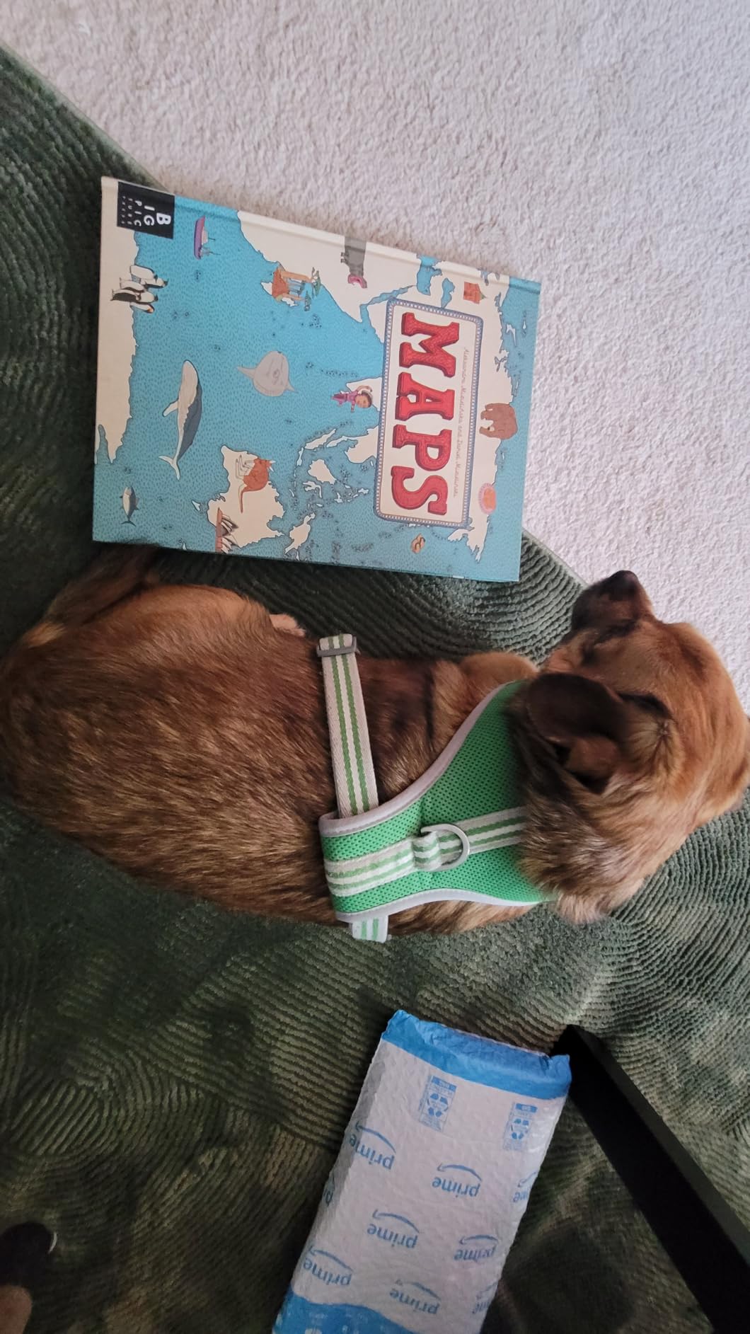 Maps customer photo 1