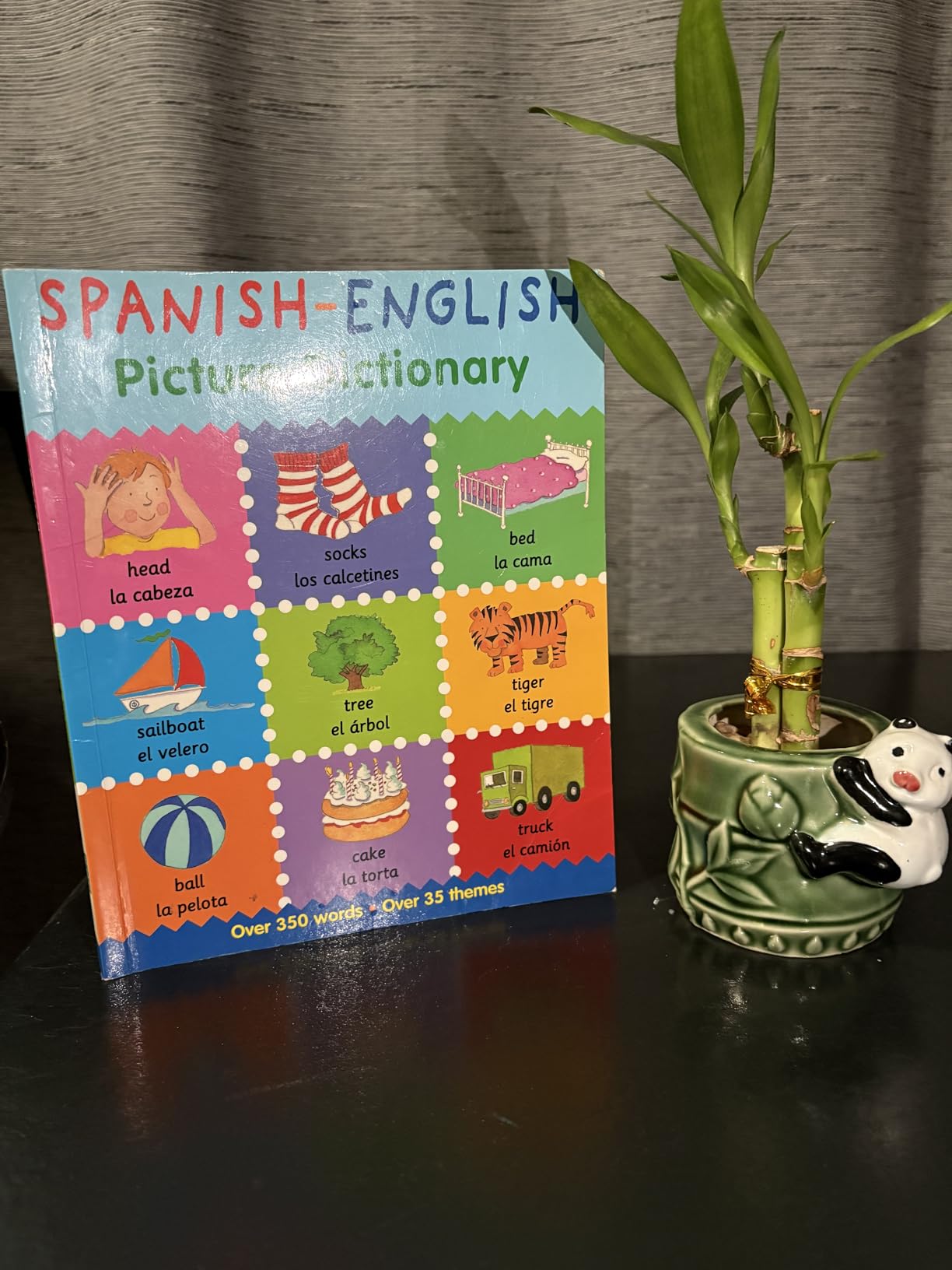 Spanish-English Picture Dictionary: Colorful Bilingual Learning for Early Language Success (First Bilingual Picture Dictionaries) customer photo 1