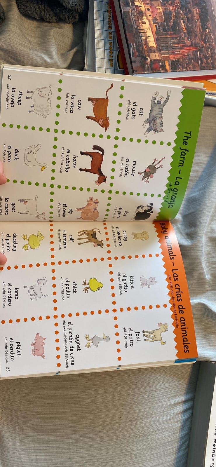 Spanish-English Picture Dictionary: Colorful Bilingual Learning for Early Language Success (First Bilingual Picture Dictionaries) customer photo 2