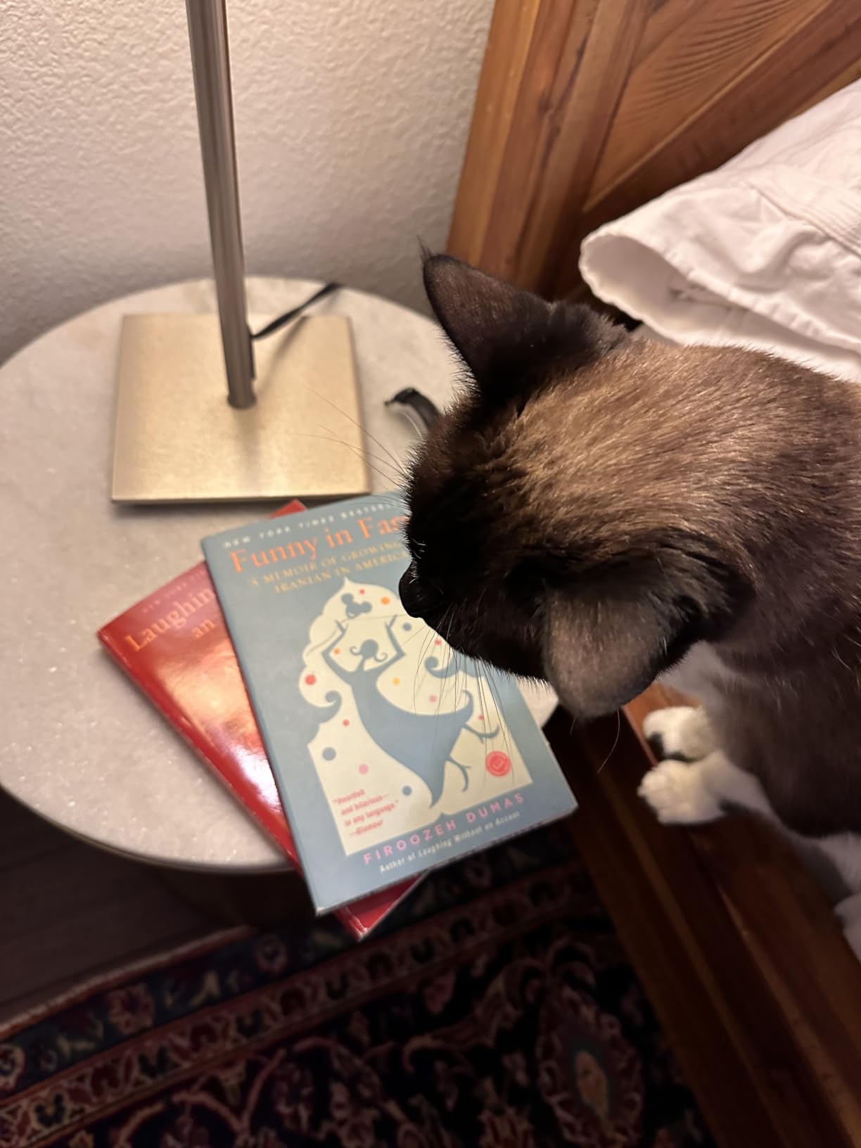 Funny in Farsi: A Memoir of Growing Up Iranian in America customer photo 1