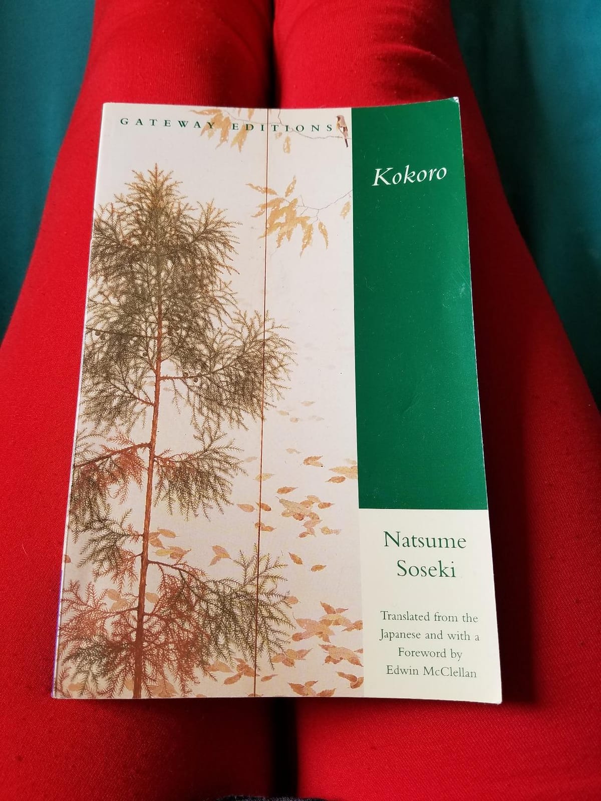 Kokoro customer photo 2