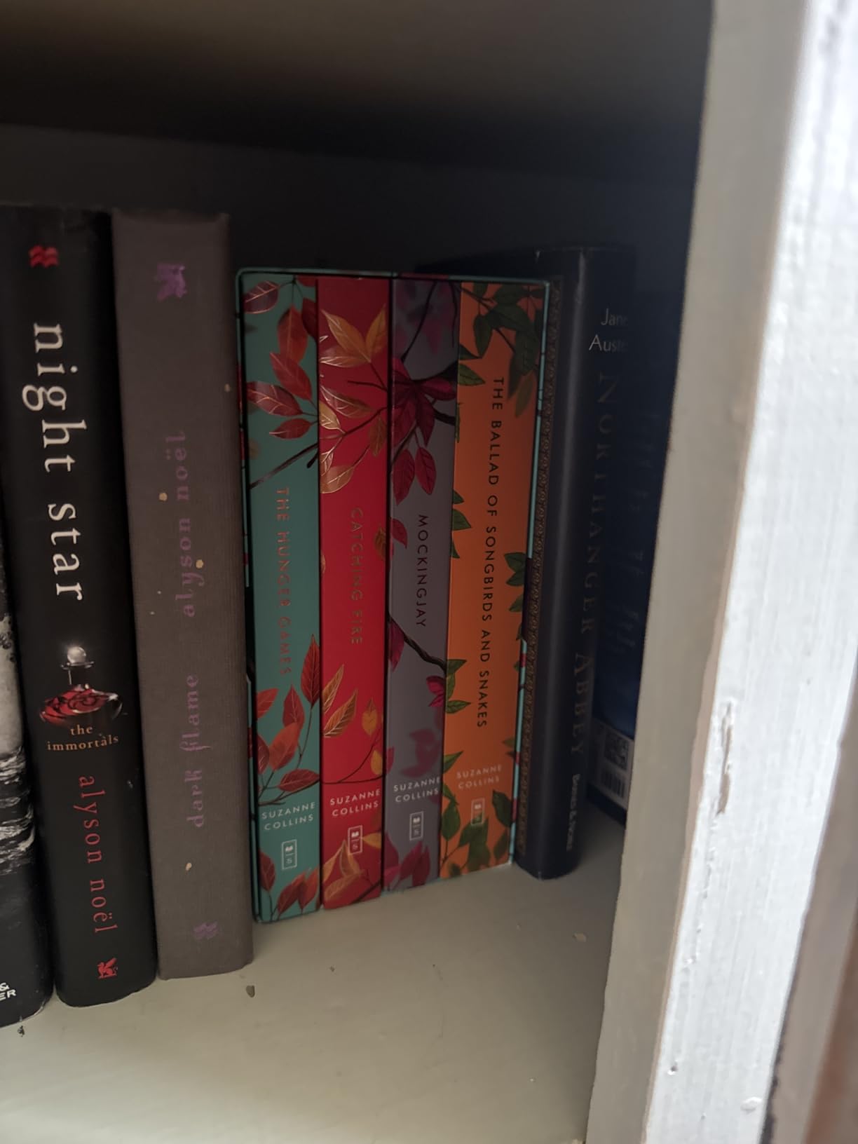 Hunger Games 4-Book Paperback Box Set (the Hunger Games, Catching Fire, Mockingjay, the Ballad of Songbirds and Snakes) customer photo 1