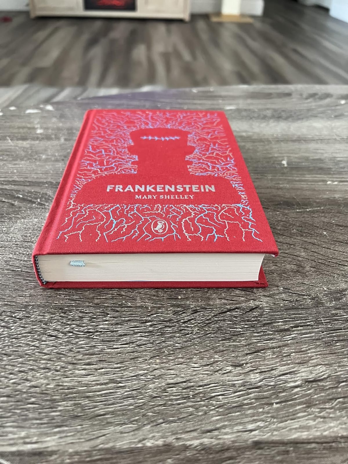 Frankenstein: Sprayed Edge Gift Edition (Arcturus Decorative Classics) customer photo 1