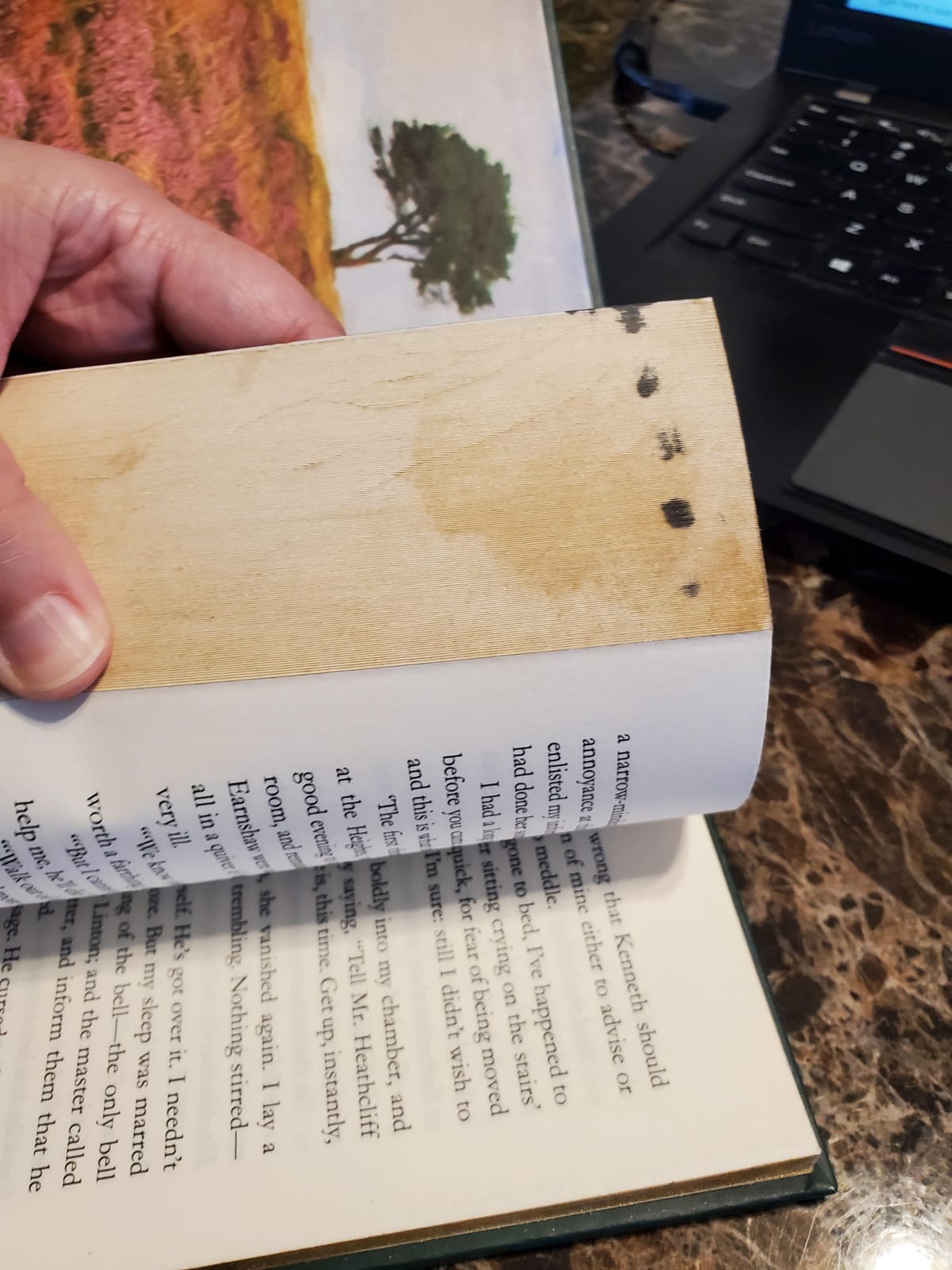 Wuthering Heights: Sprayed Edge Gift Edition (Arcturus Decorative Classics) customer photo 2