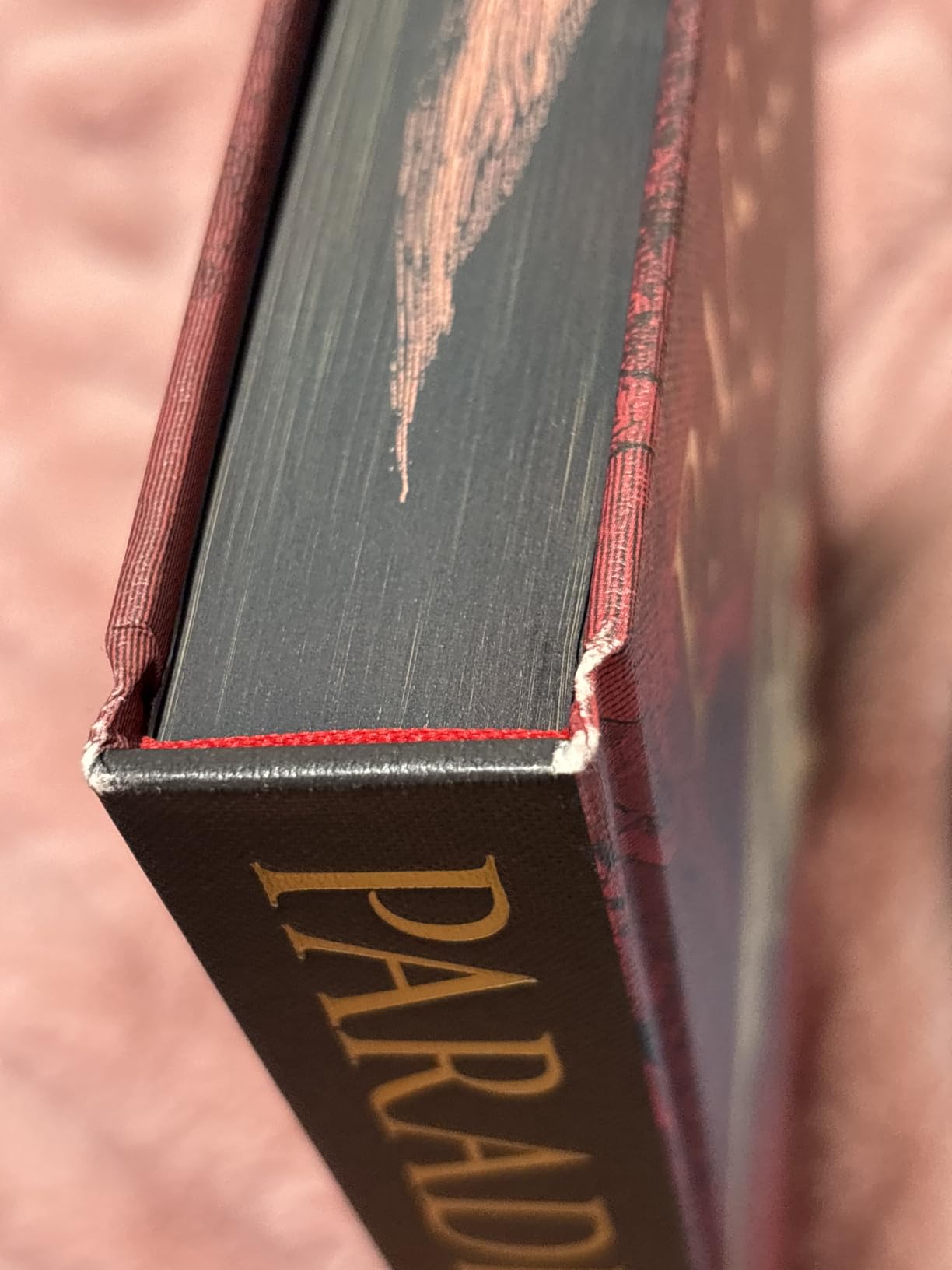 Milton's Paradise Lost: Illustrated by Gustave Doré (Arcturus Epic Classics) customer photo 1