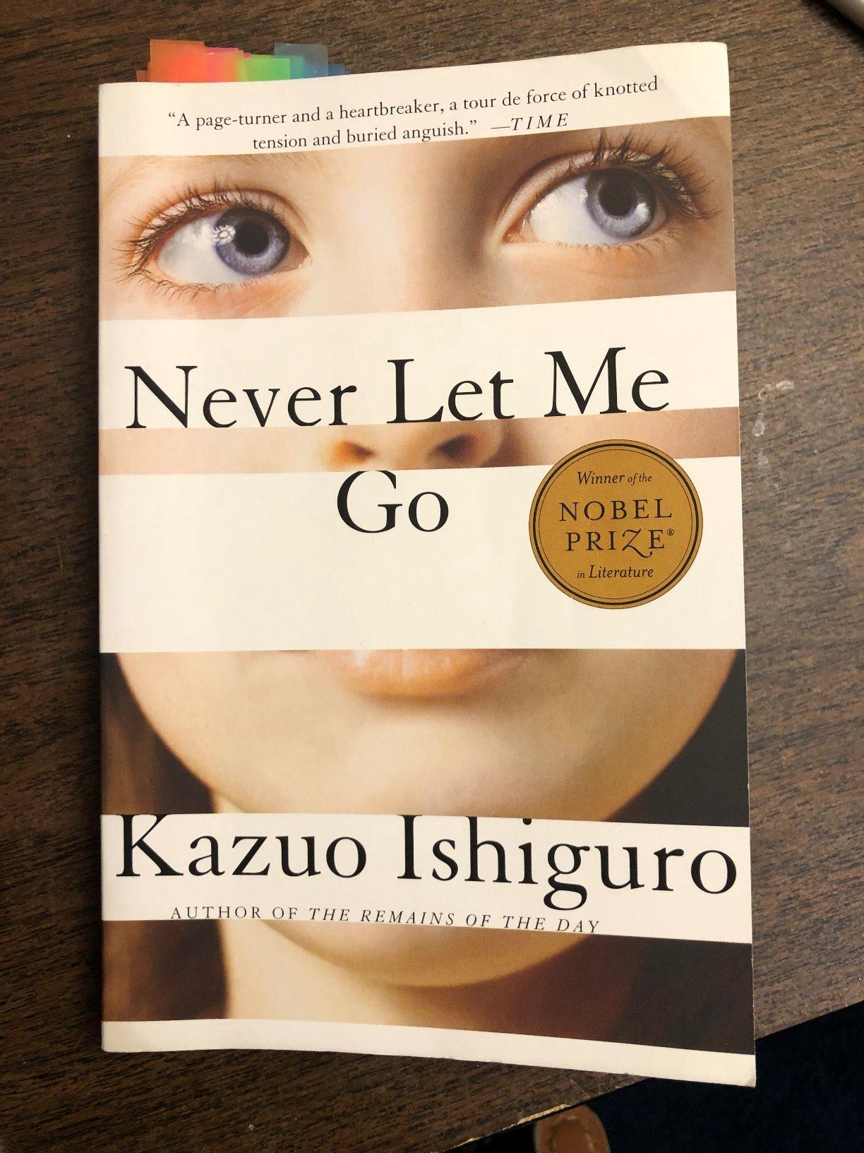 Never Let Me Go (Vintage International) customer photo 1