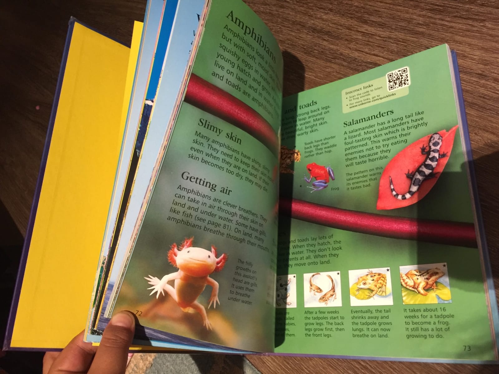 Childrens Encyclopedia customer photo 1