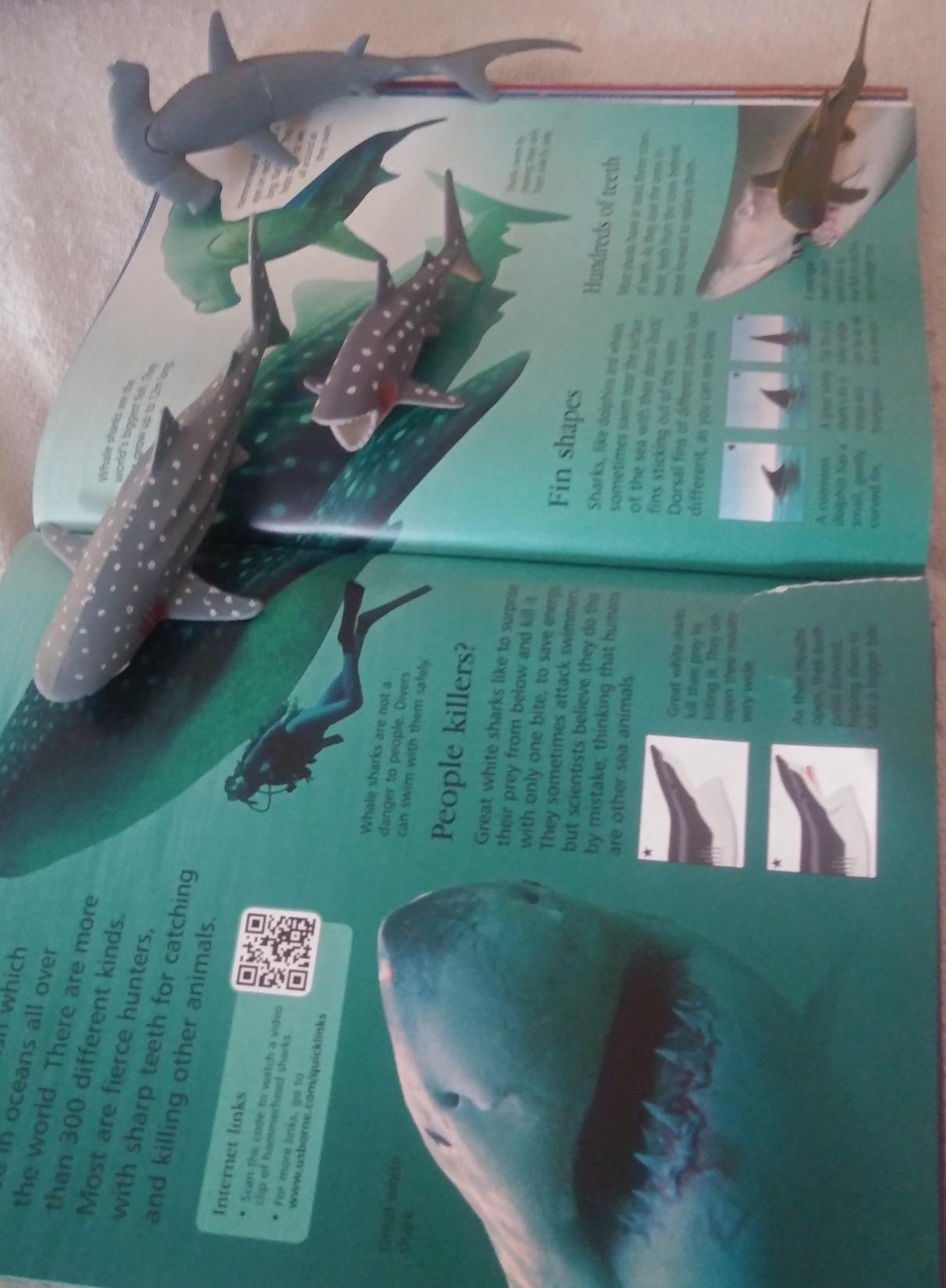 Childrens Encyclopedia customer photo 2