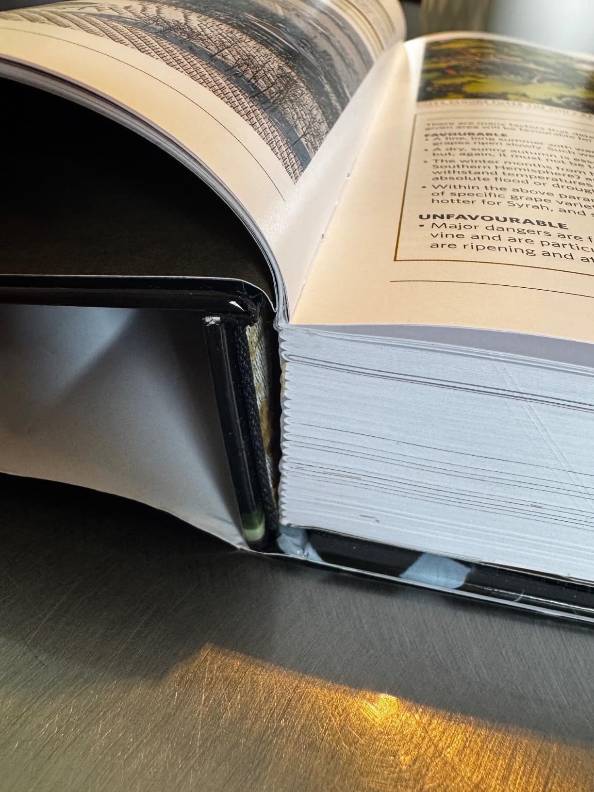 The New Sotheby's Wine Encyclopedia customer photo 1