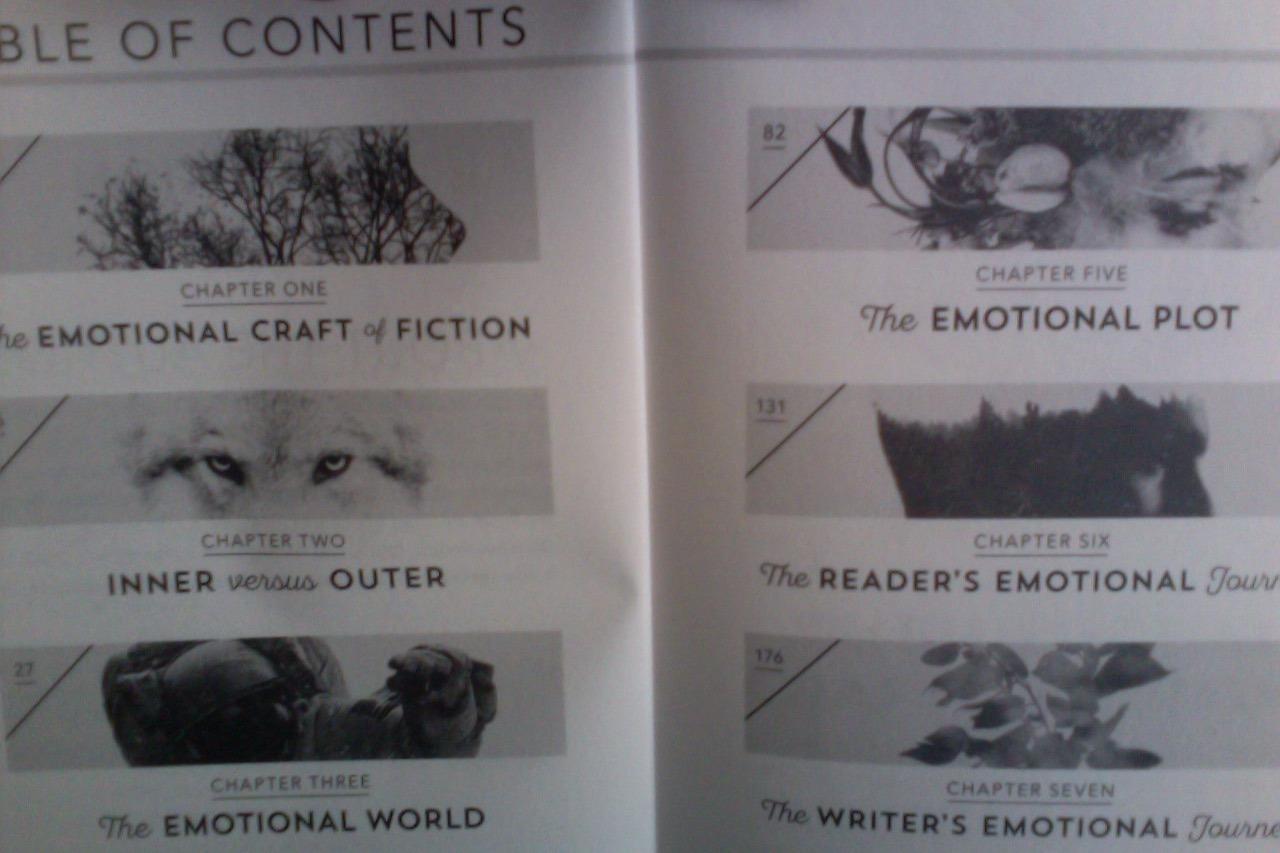 The Emotional Craft of Fiction: How to Write the Story Beneath the Surface customer photo 1